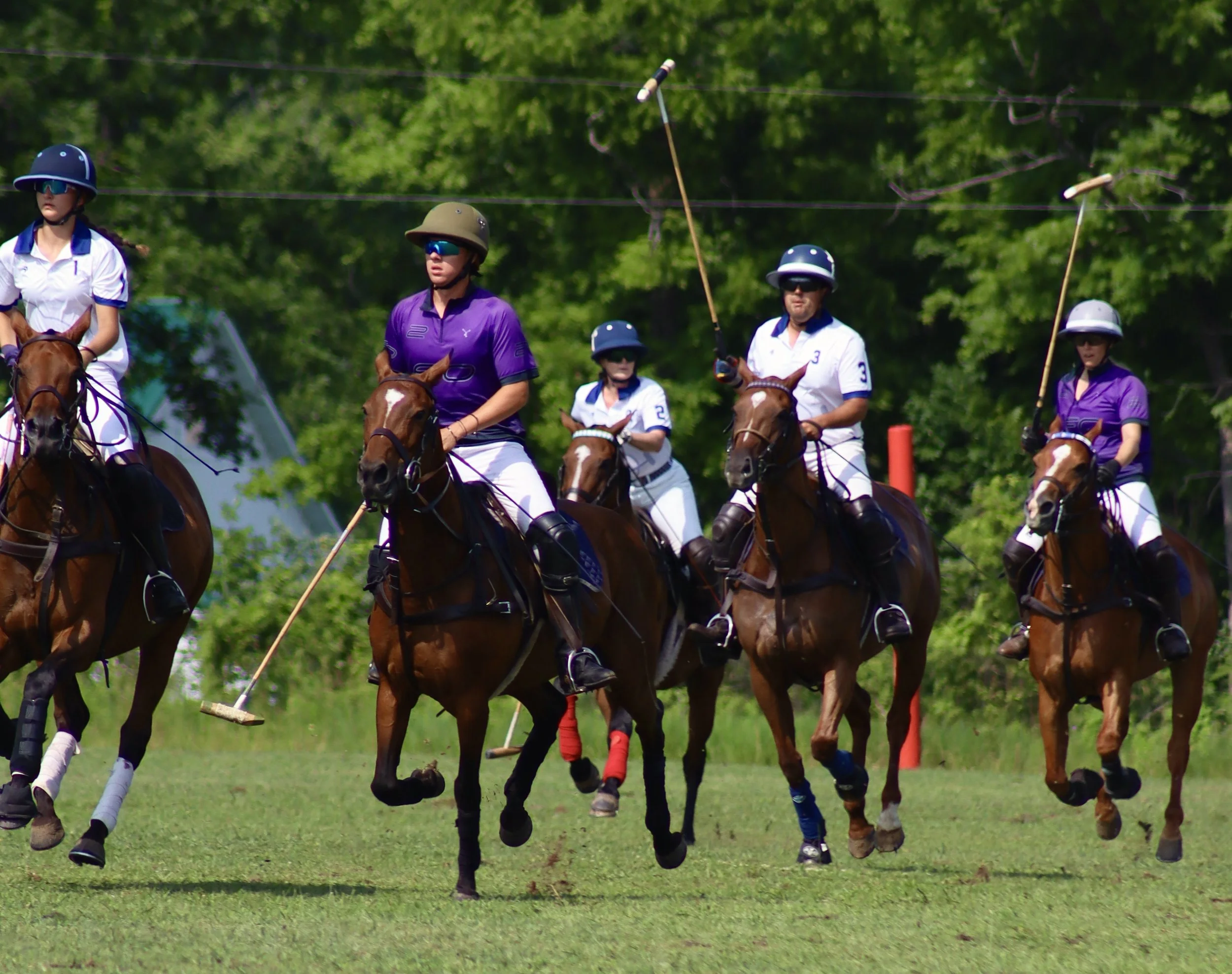 Devonwood Farm Invitational