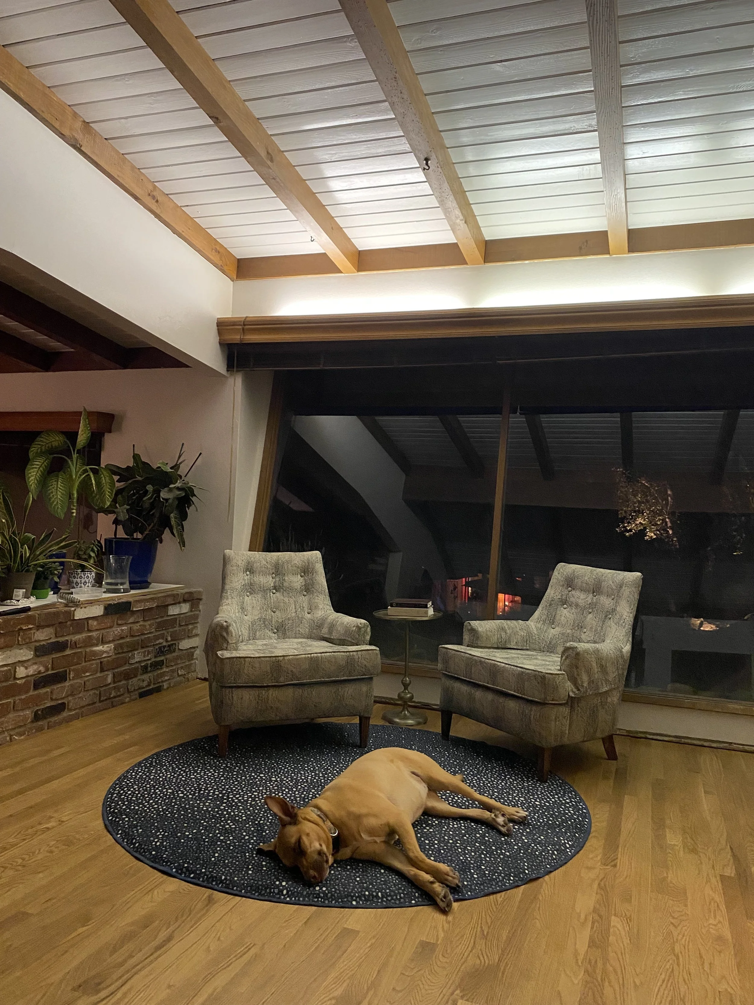 Living room with two upholstered armchairs, a small side table, an indoor plant, and a dog sleeping on a round black rug. Behind the chairs is a large glass window showing an outdoor patio area with a roof and trees at night.