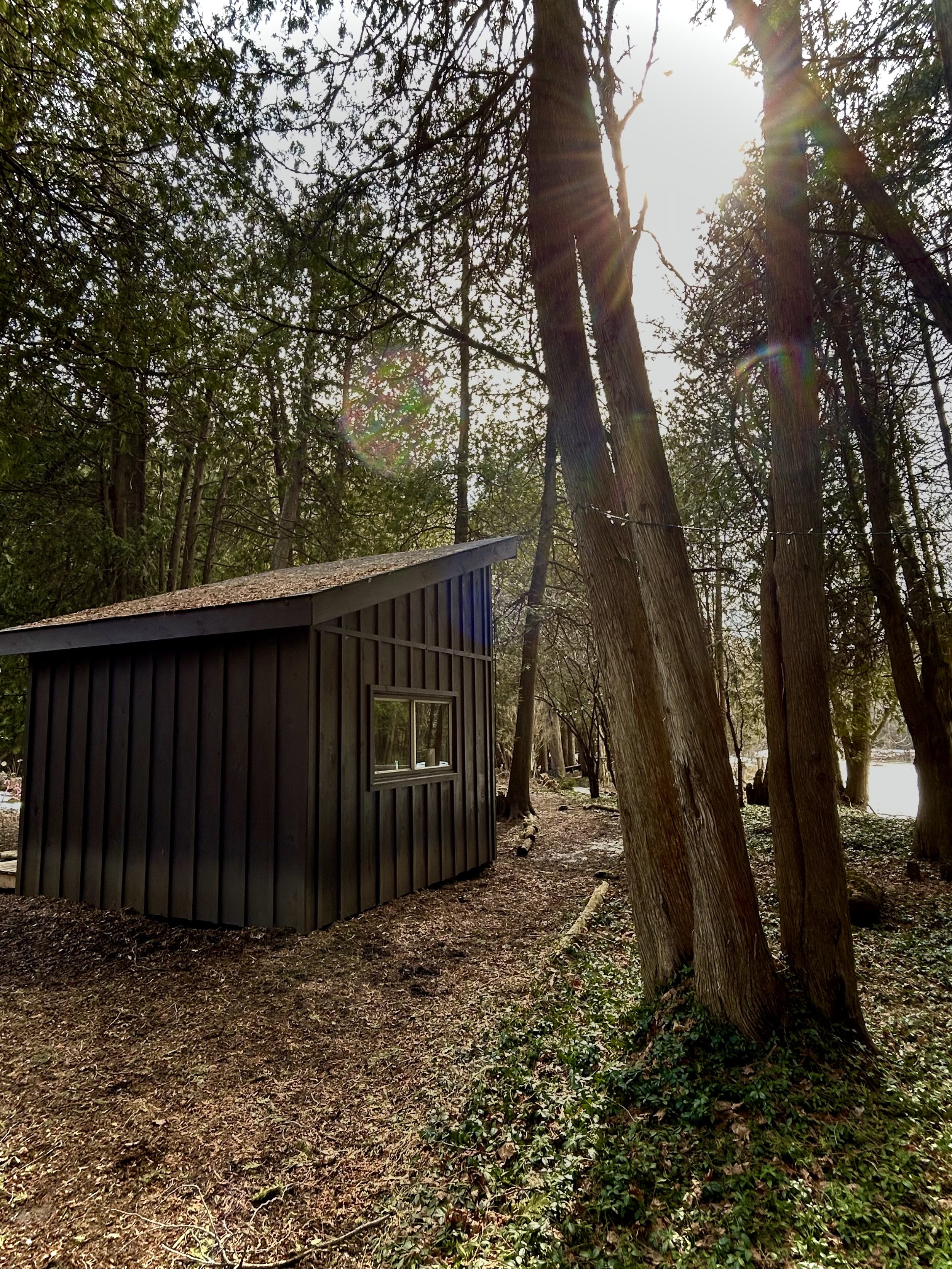 the cabin