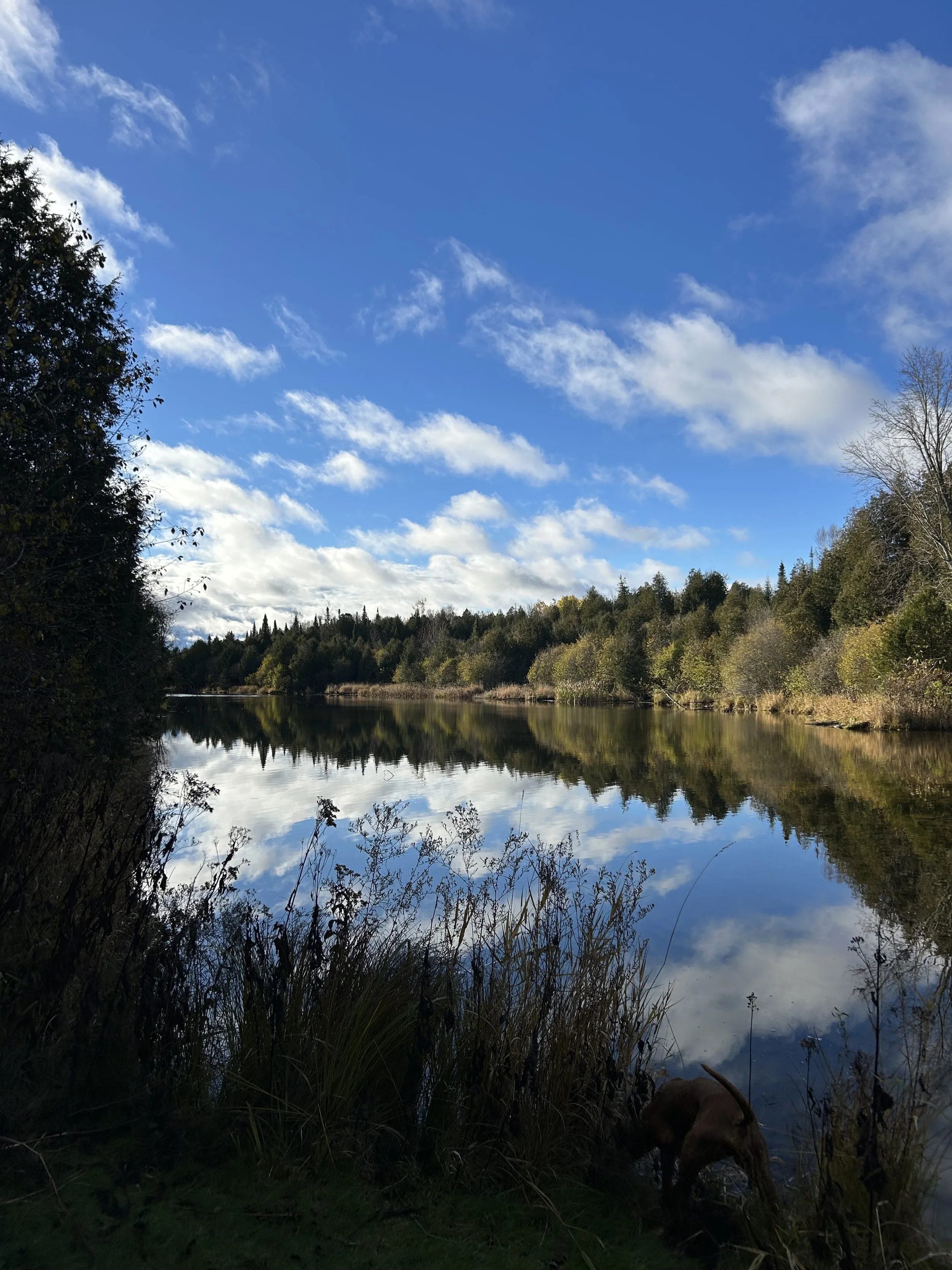 the river