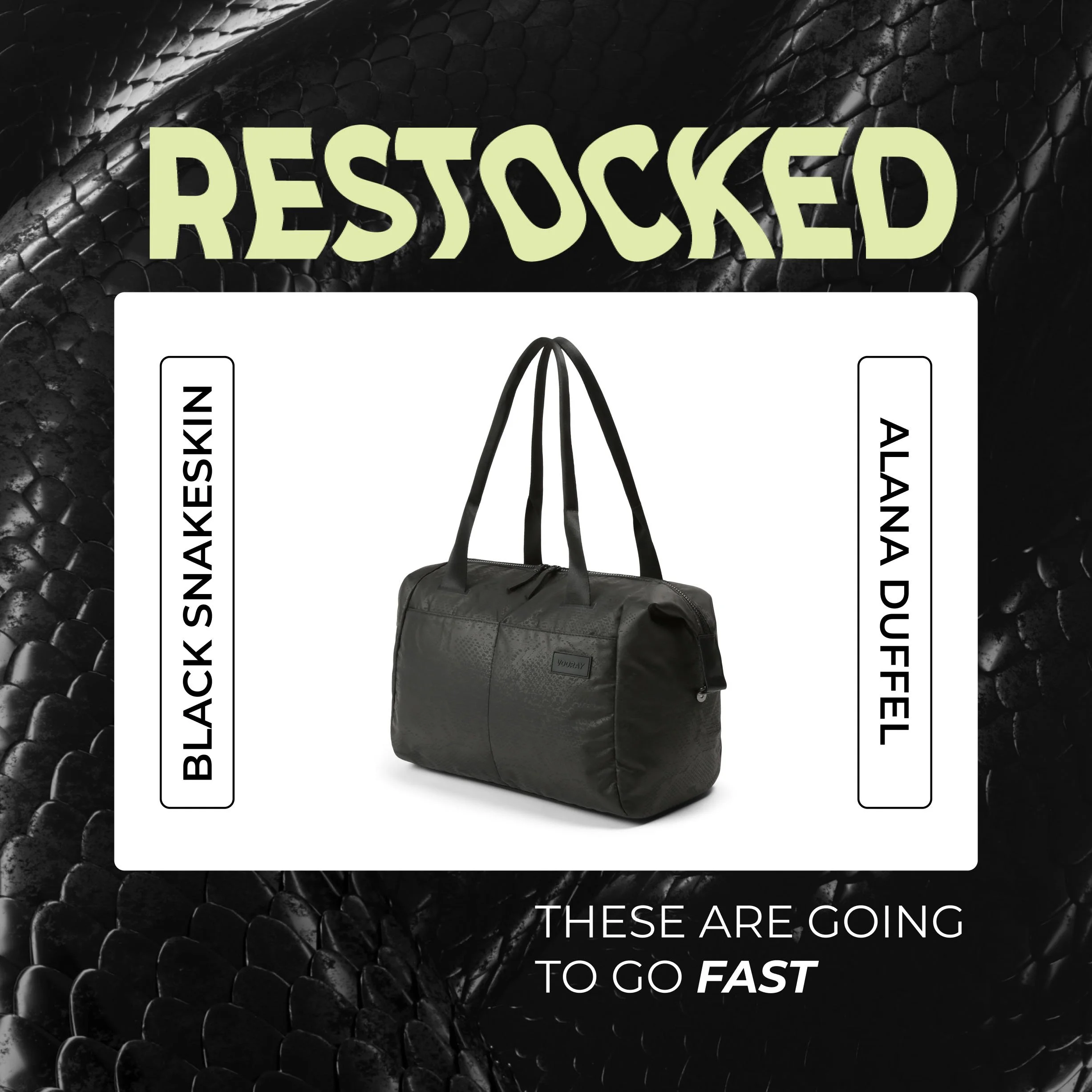 Snakeskin Restock | Email + Paid Media