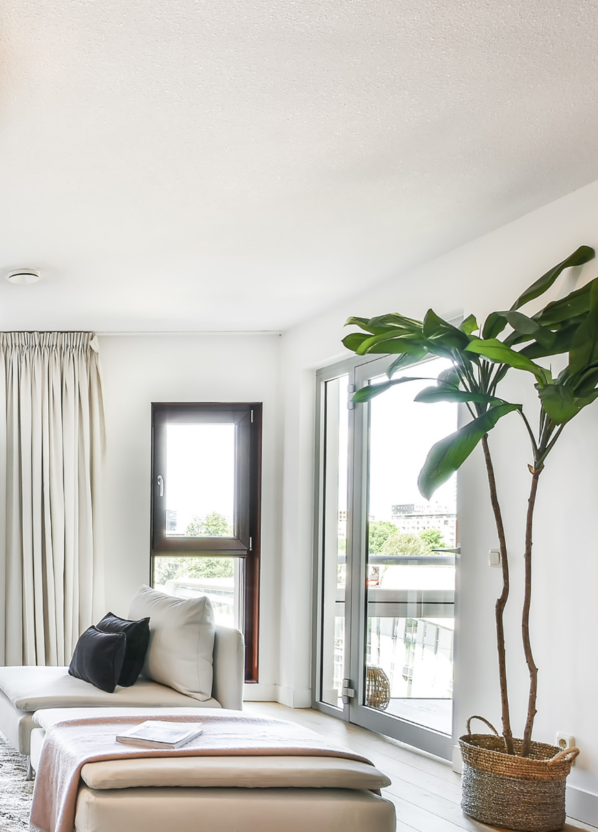 A bright living room with a balcony door and a large plant