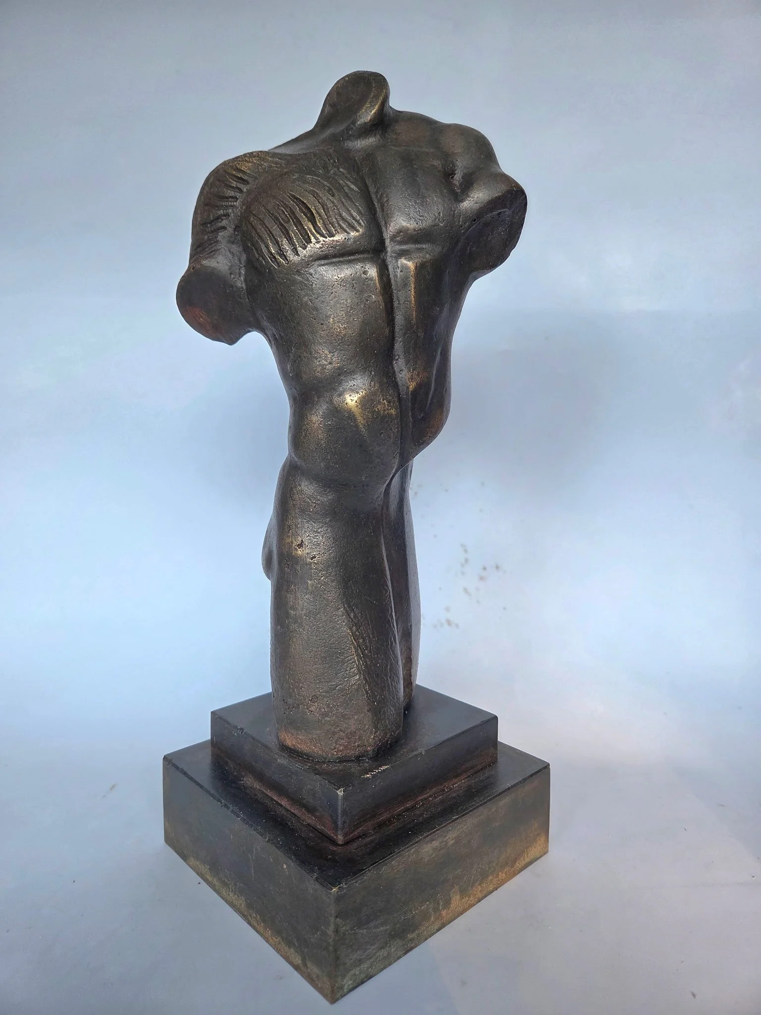 "STRENGTH & BEAUTY" : A physically fit body has been an art form since the time of ancient civilizations. This project was inspired by all the athletes  including my son who work hard to achieve their fitness goals.