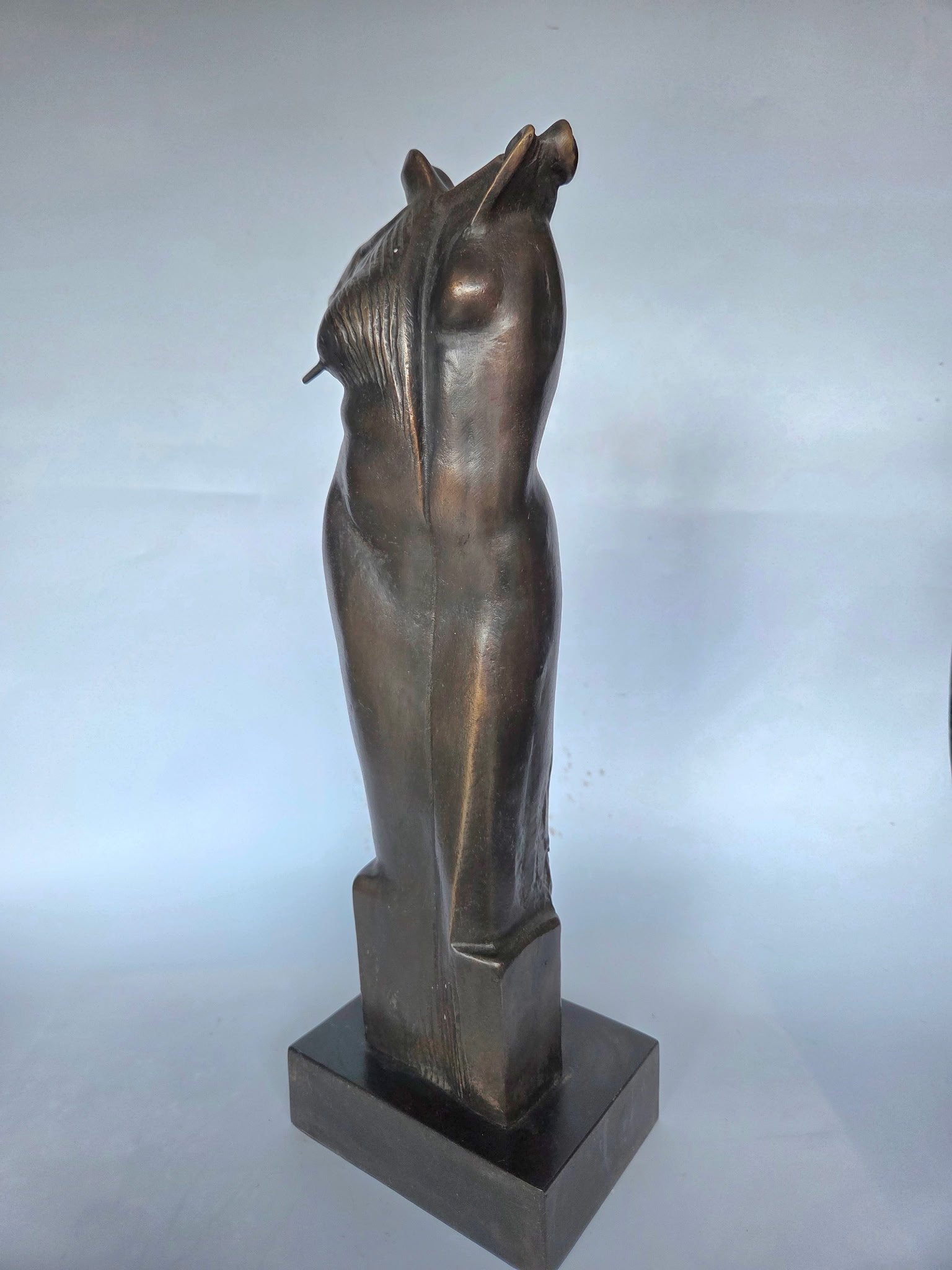 "THE OPPOSITE SIDES OF BEAUTY": I like to think beauty can be found In many different places, things and people. I've been exposed to many different beautiful people and forms and this sculpture is dedicated to the beauty that is found all around us.