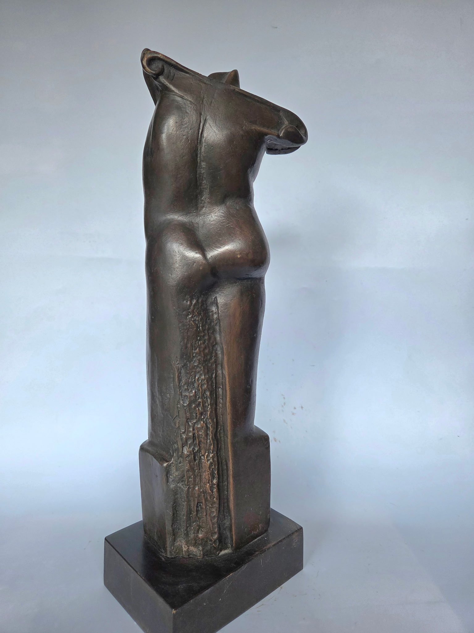 "THE OPPOSITE SIDES OF BEAUTY": I like to think beauty can be found In many different places, things and people. I've been exposed to many different beautiful people and forms and this sculpture is dedicated to the beauty that is found all around us.