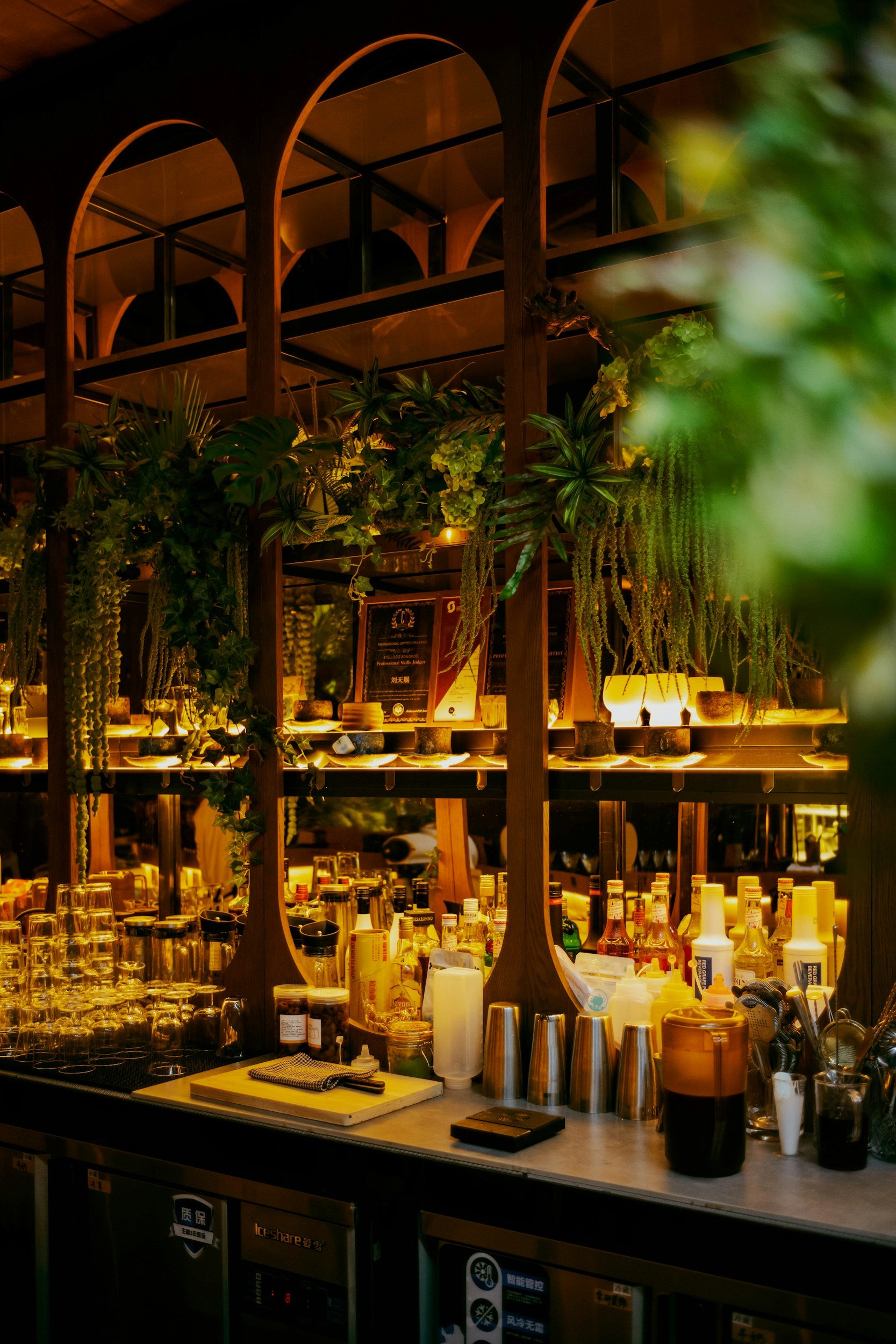 moody bar TABC