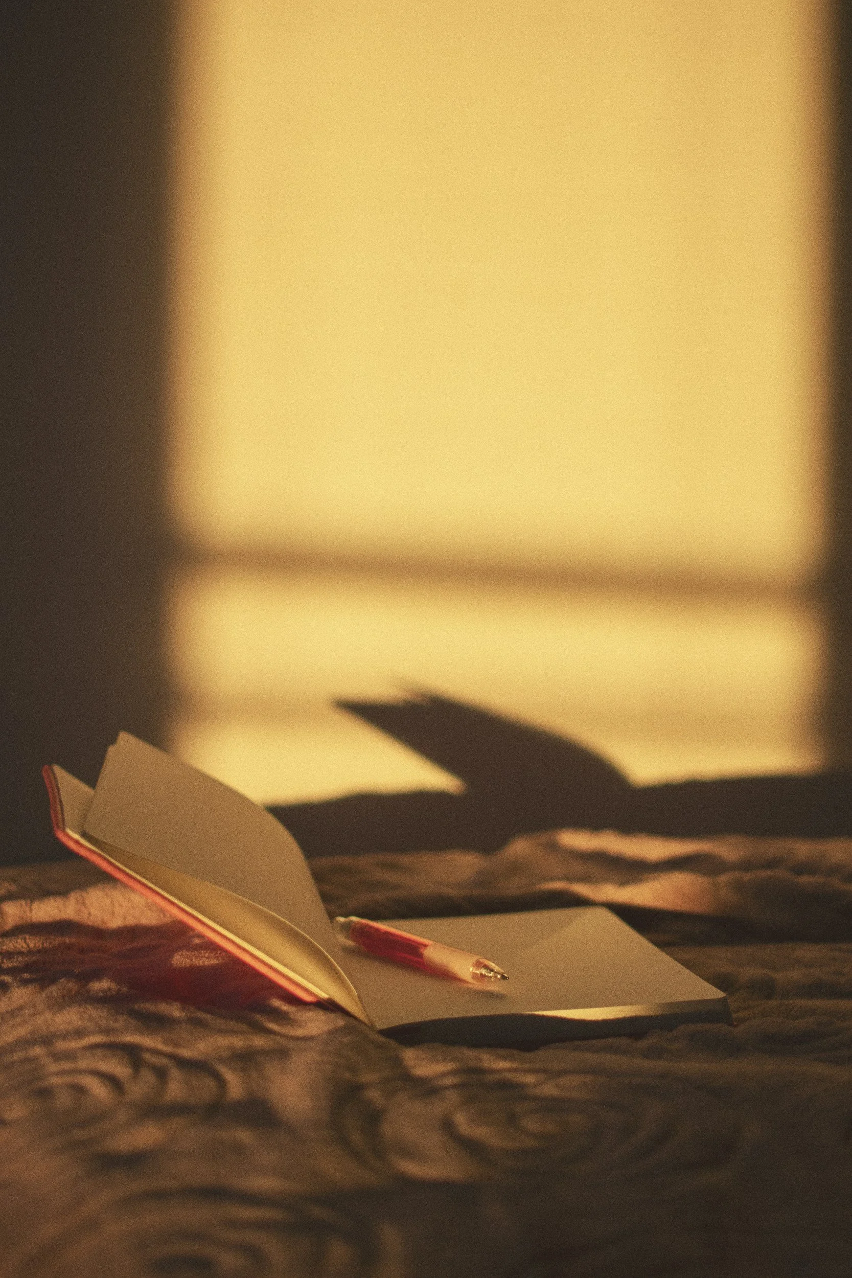 Open book with a pen on top, placed on a textured surface, with sunlight casting a shadow of a plant behind.