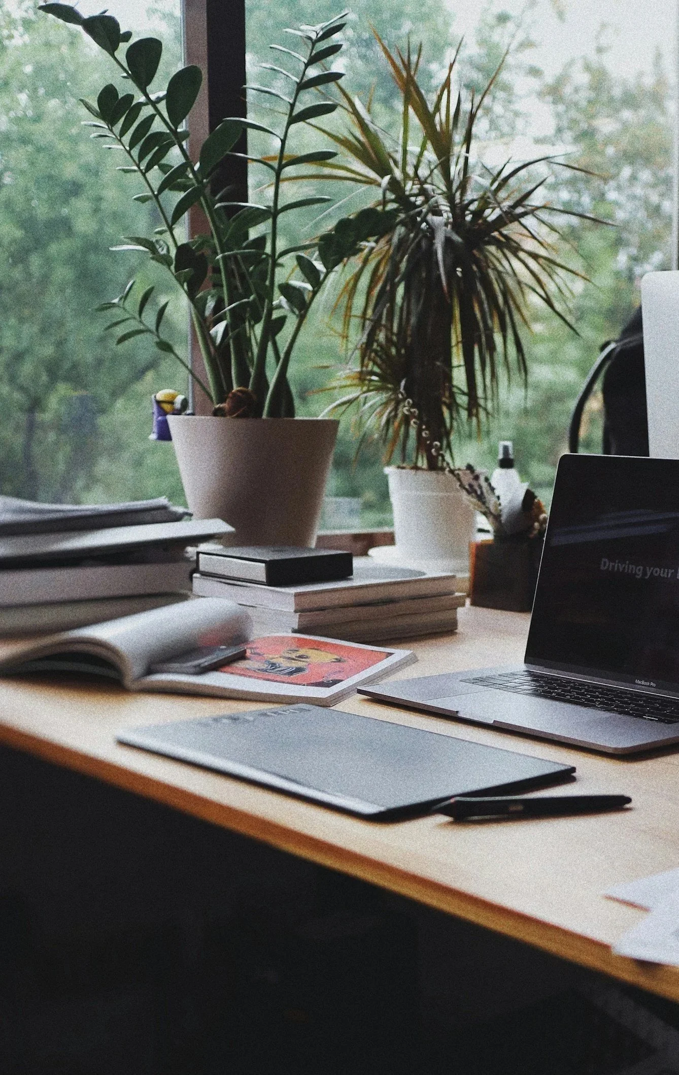 A tidy desk with a laptop, several open books, magazines, a drawing tablet, and a closed laptop, positioned in front of a window with two potted plants in the background.