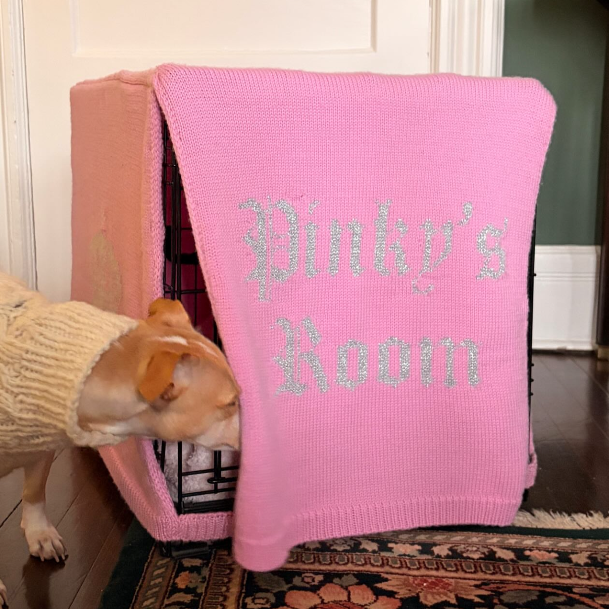 Project Pinky