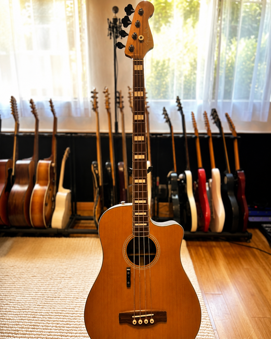 Central wooden acoustic guitar with a cutaway design, standing upright in front of a row of various electric guitars on display in a room with a large window and natural light.