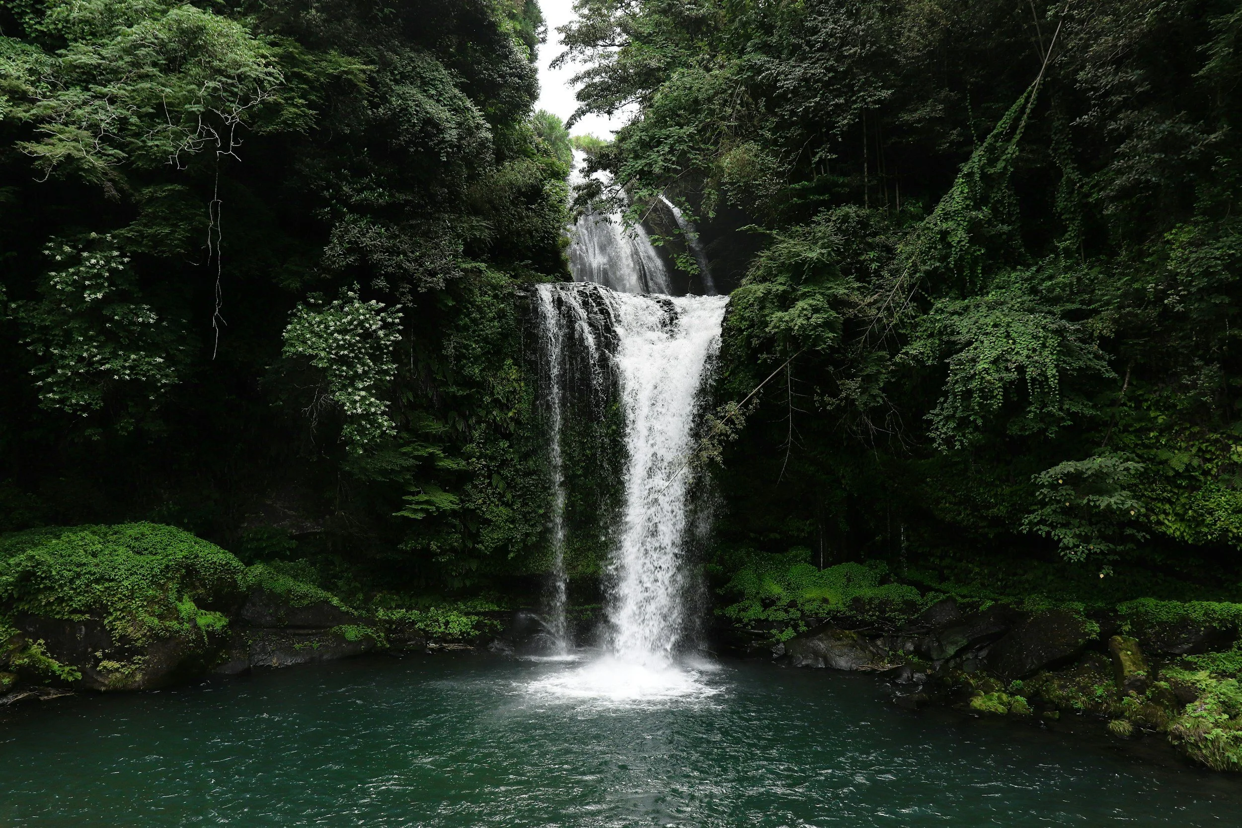 A waterfall cascading down a lush, green forested cliff into a pool surrounded by vegetation.
