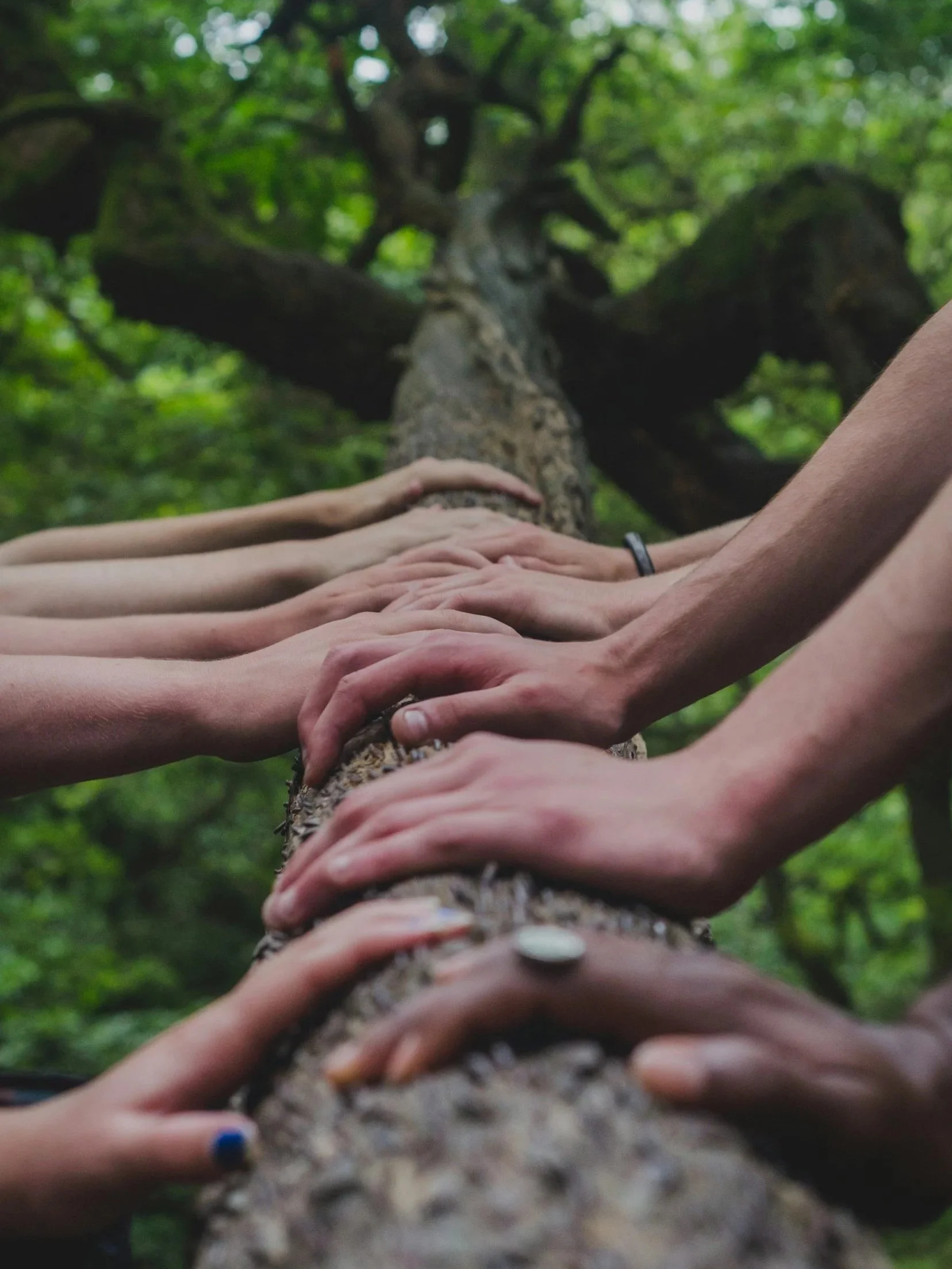 communication & wellness partner support