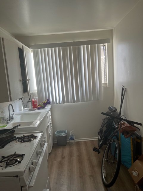 image3.jpeg
