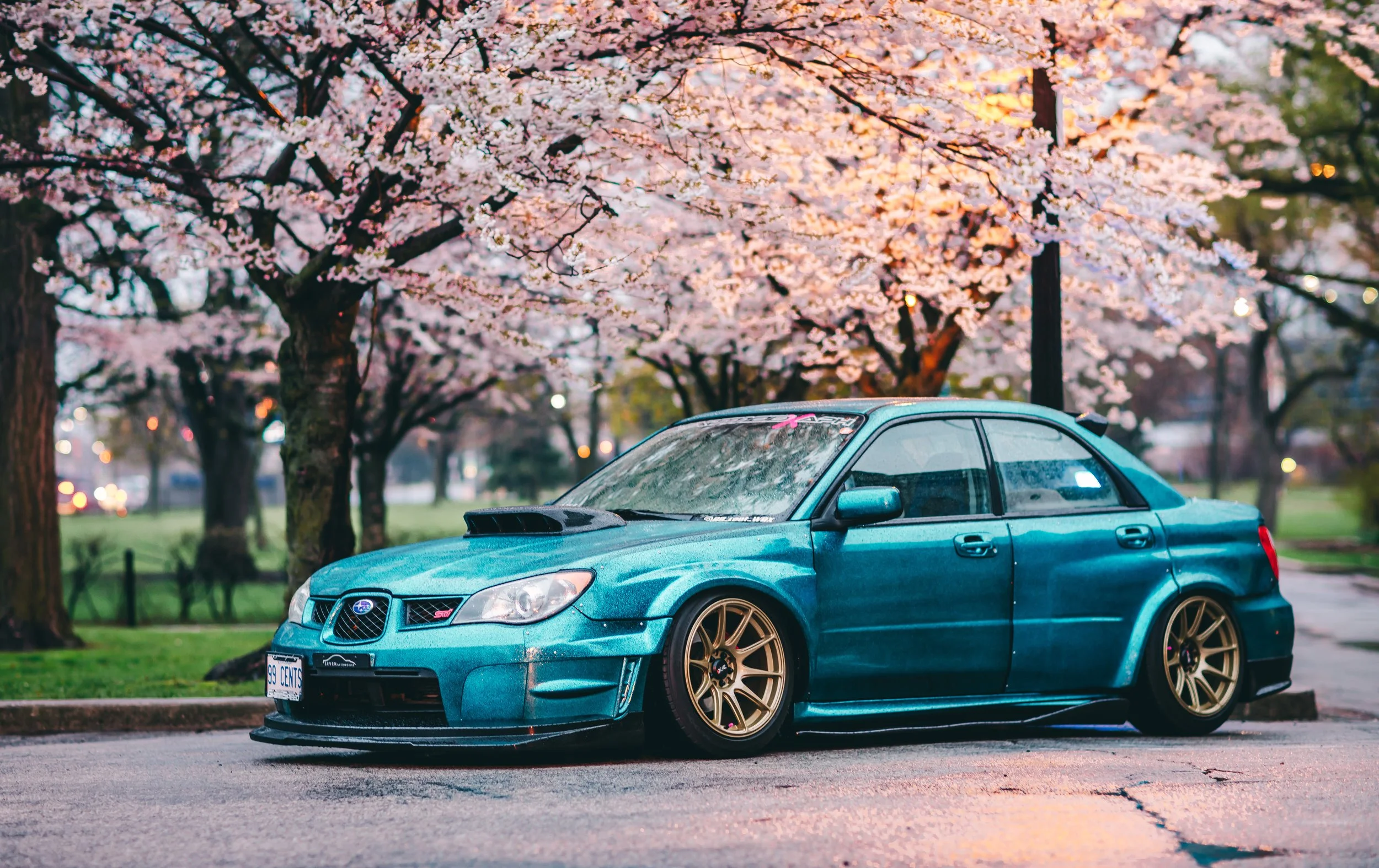 A blue Subaru rally car with gold wheels parked on a street near blooming cherry blossom trees during dusk.