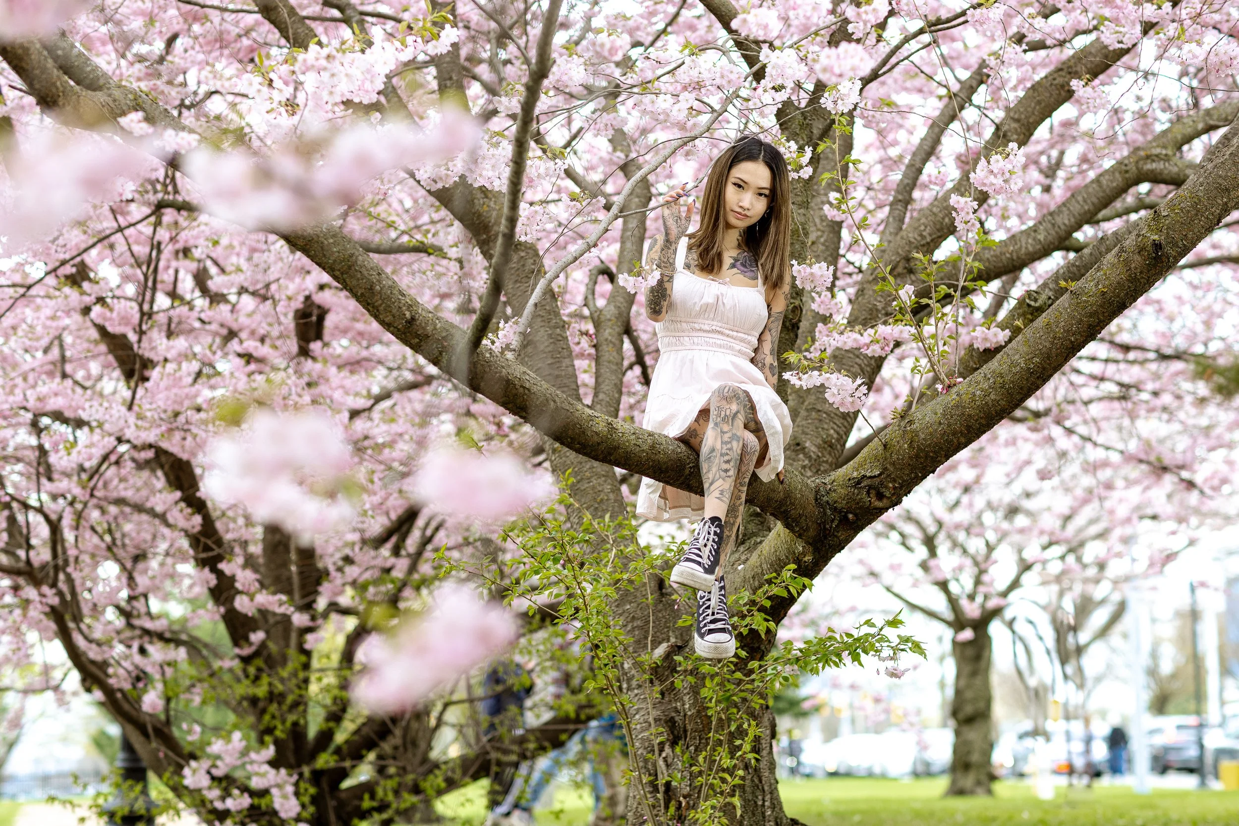 A young woman with tattoos in a white dress and black sneakers sits on a branch of a cherry blossom tree with pink flowers, in a park setting.