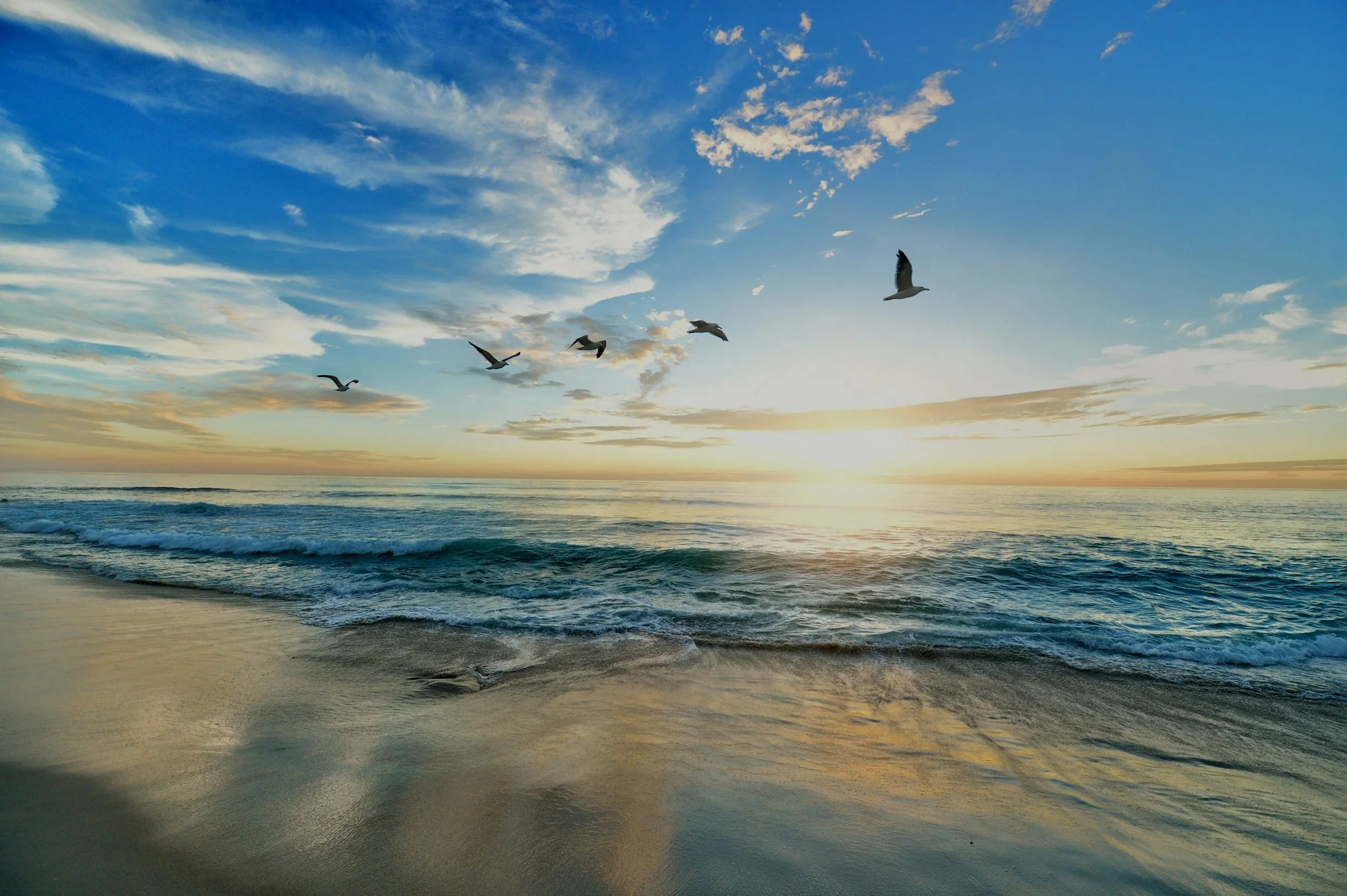 Seagulls flying over the ocean at sunset with blue sky and scattered clouds.