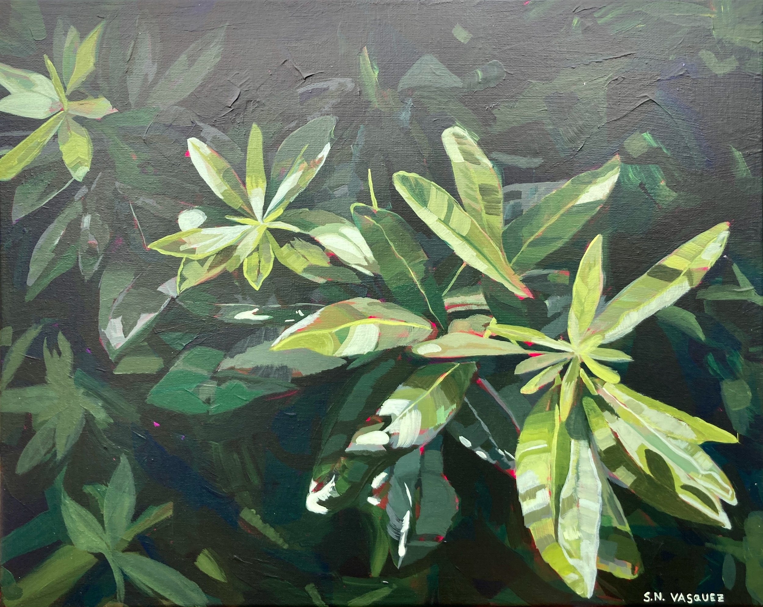 Close-up of green and white variegated leaves on a dark background, painted with visible brushstrokes.