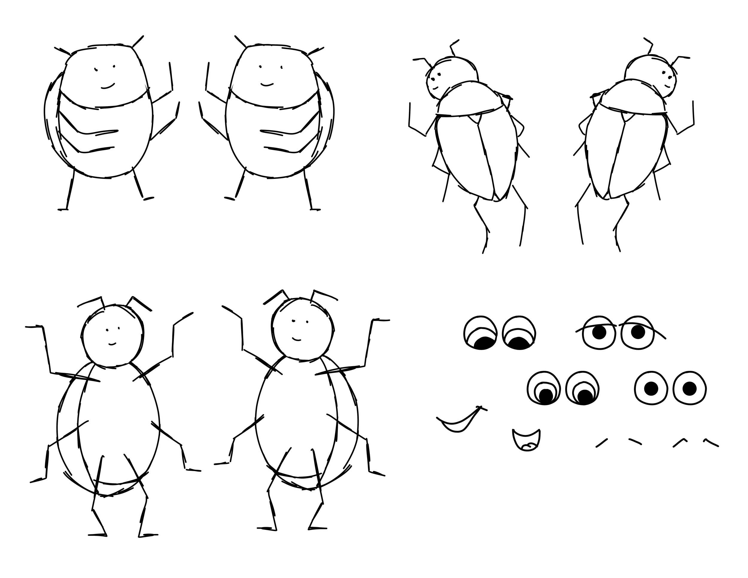 Cartoon Beetle Study