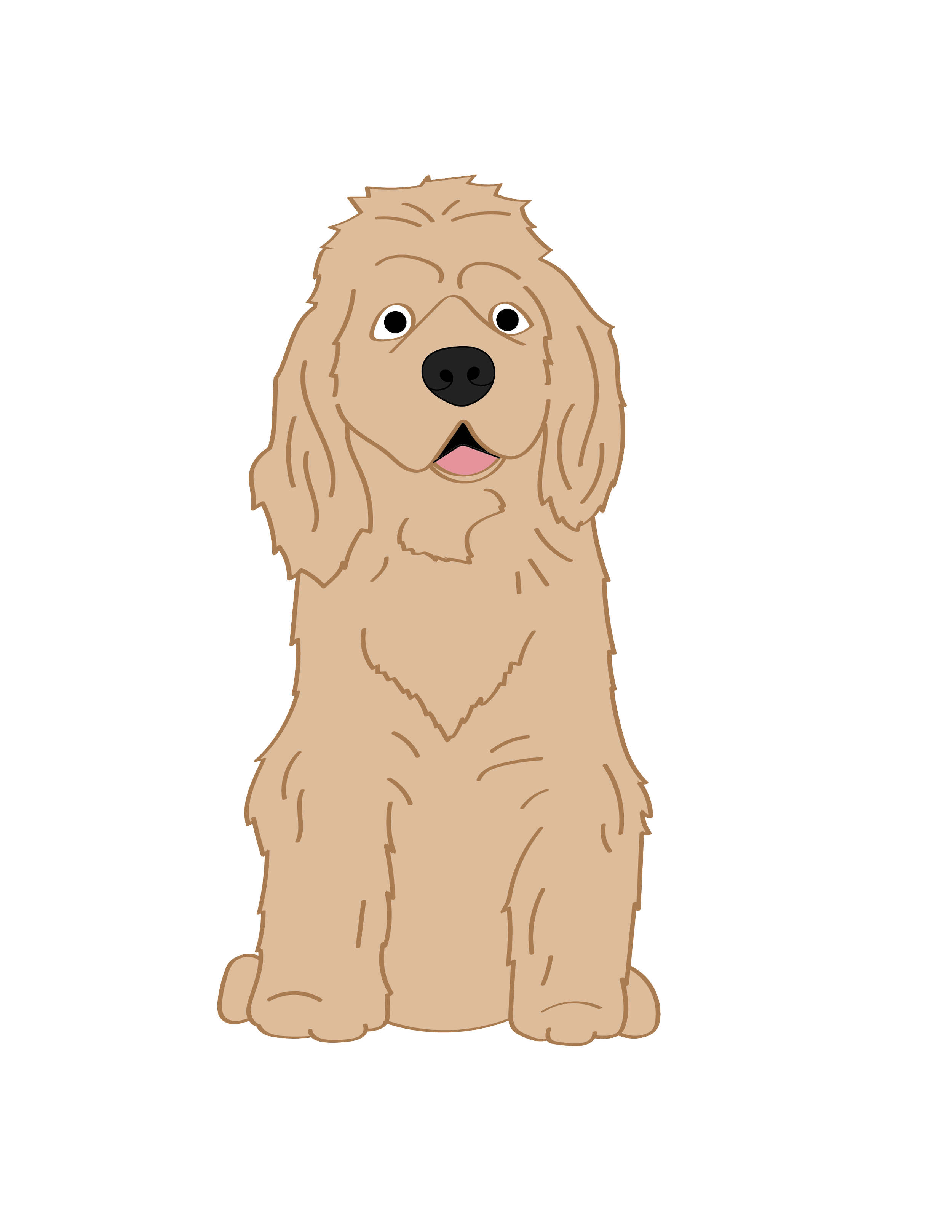 Cocker Spaniel Illustration.png