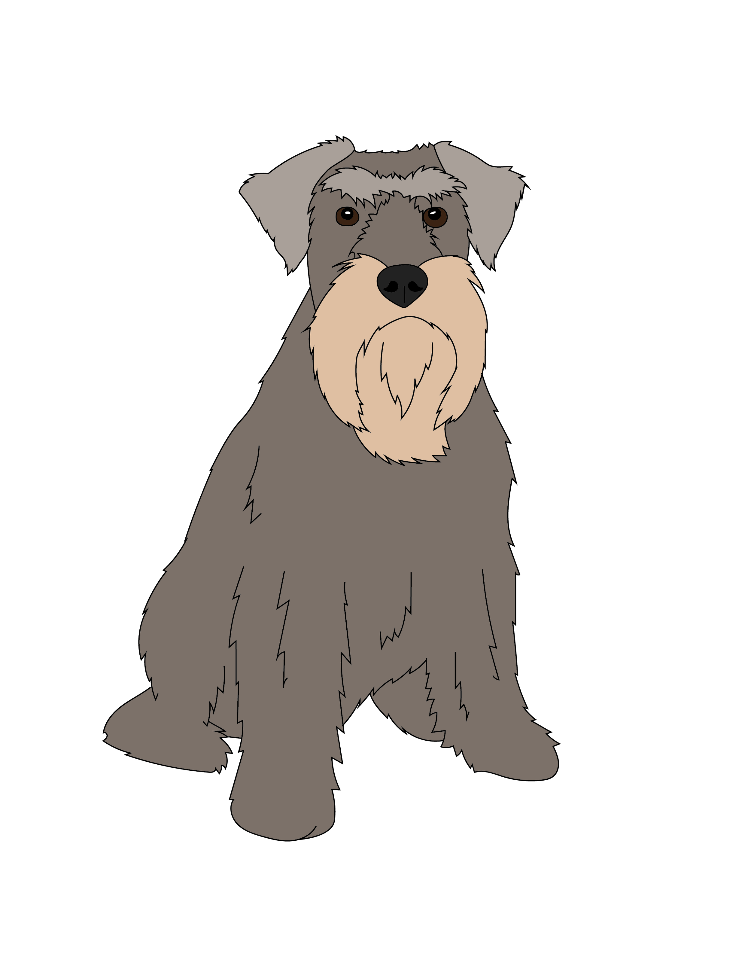 Schnauzer Illustration.png