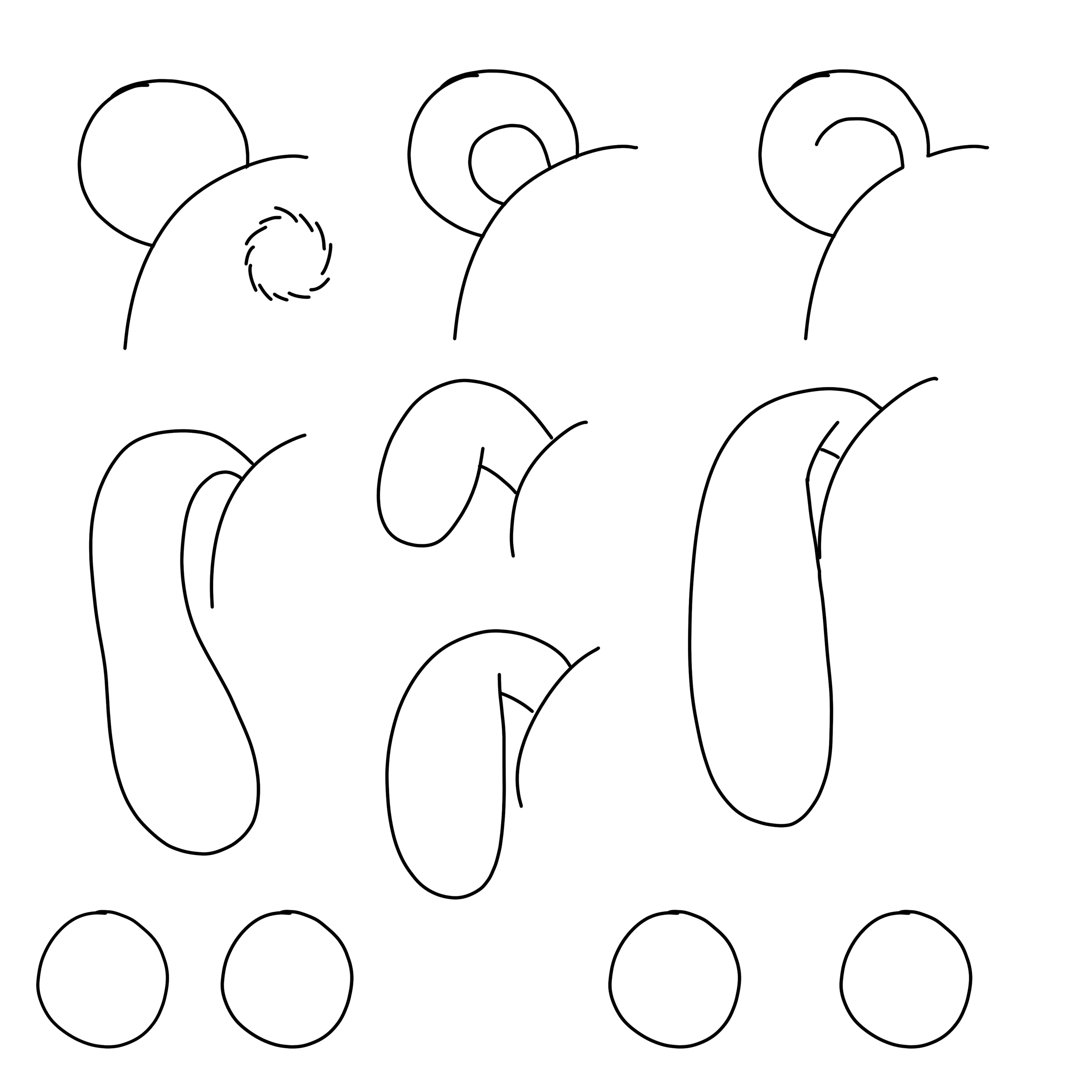 Ear Shapes