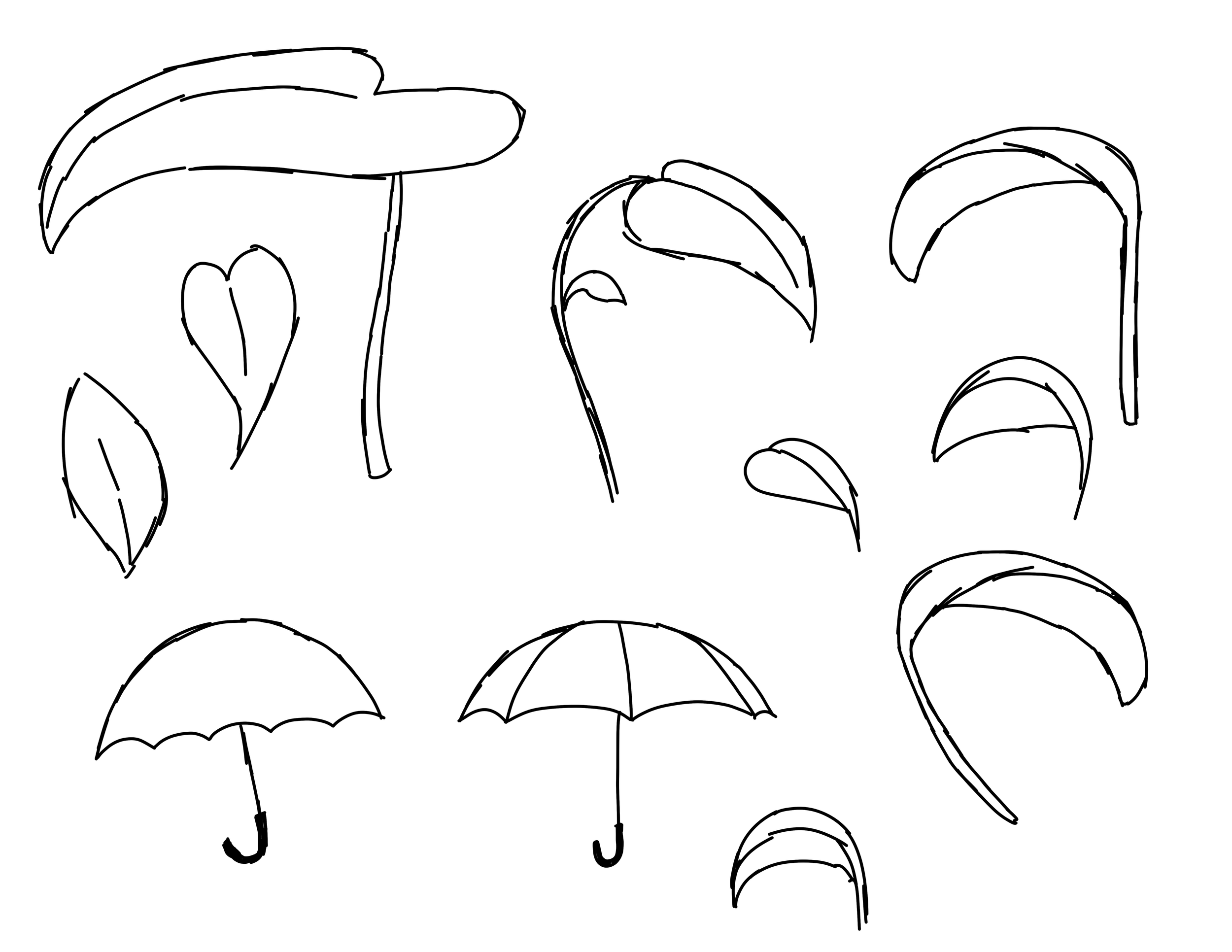 Leaves as Umbrellas