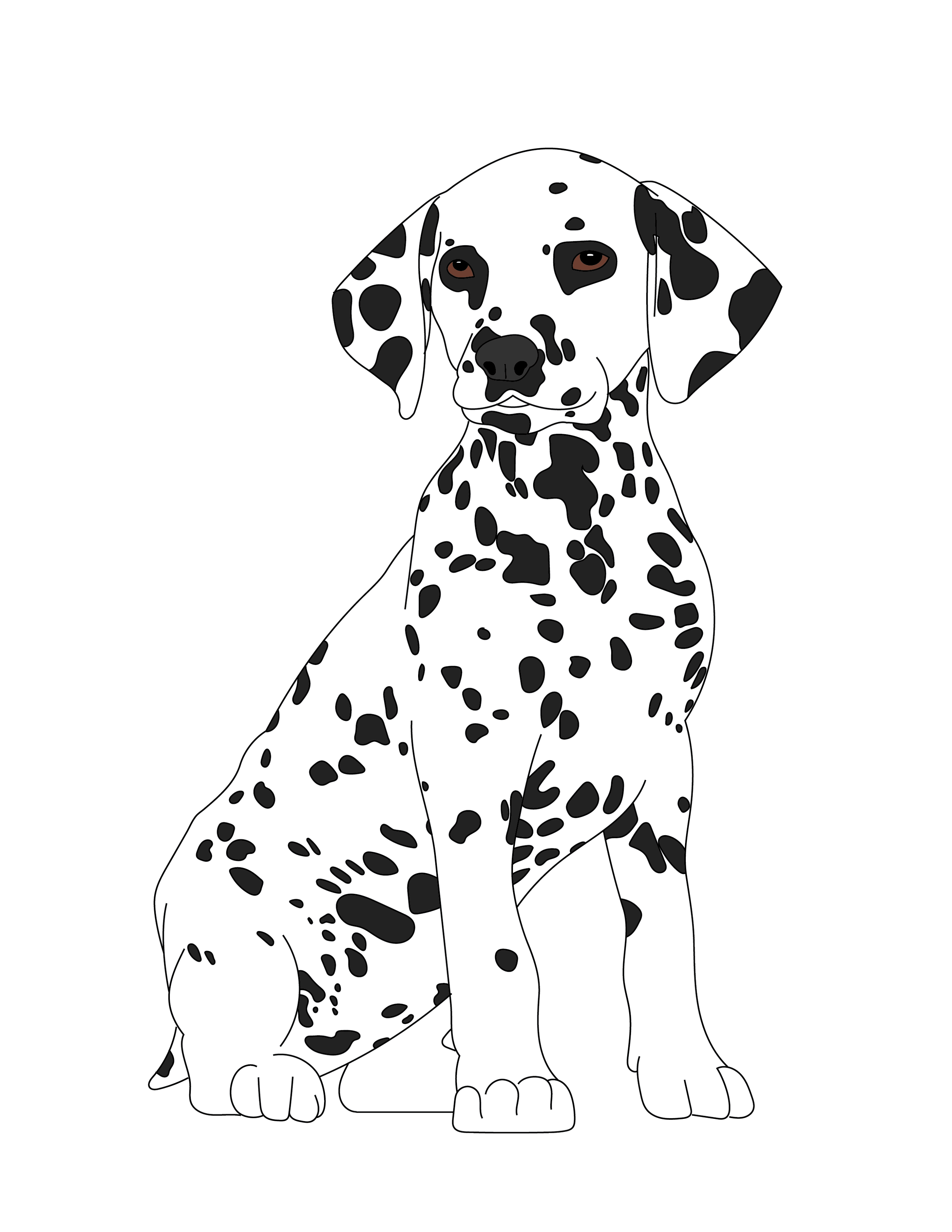 Dalmation Illustration.png