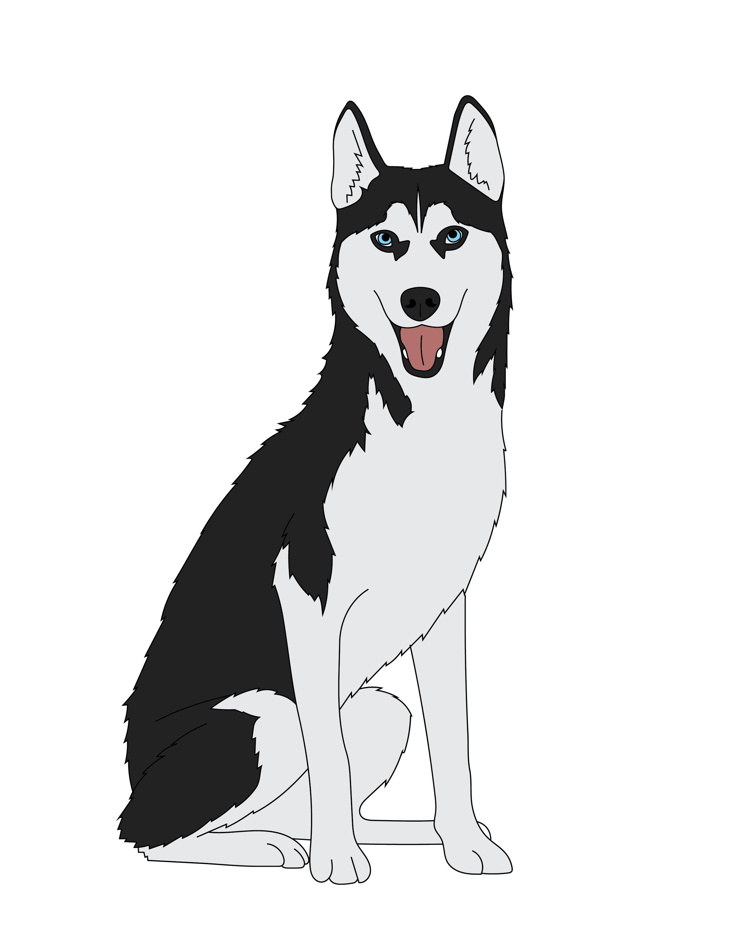 Husky Illustration.png