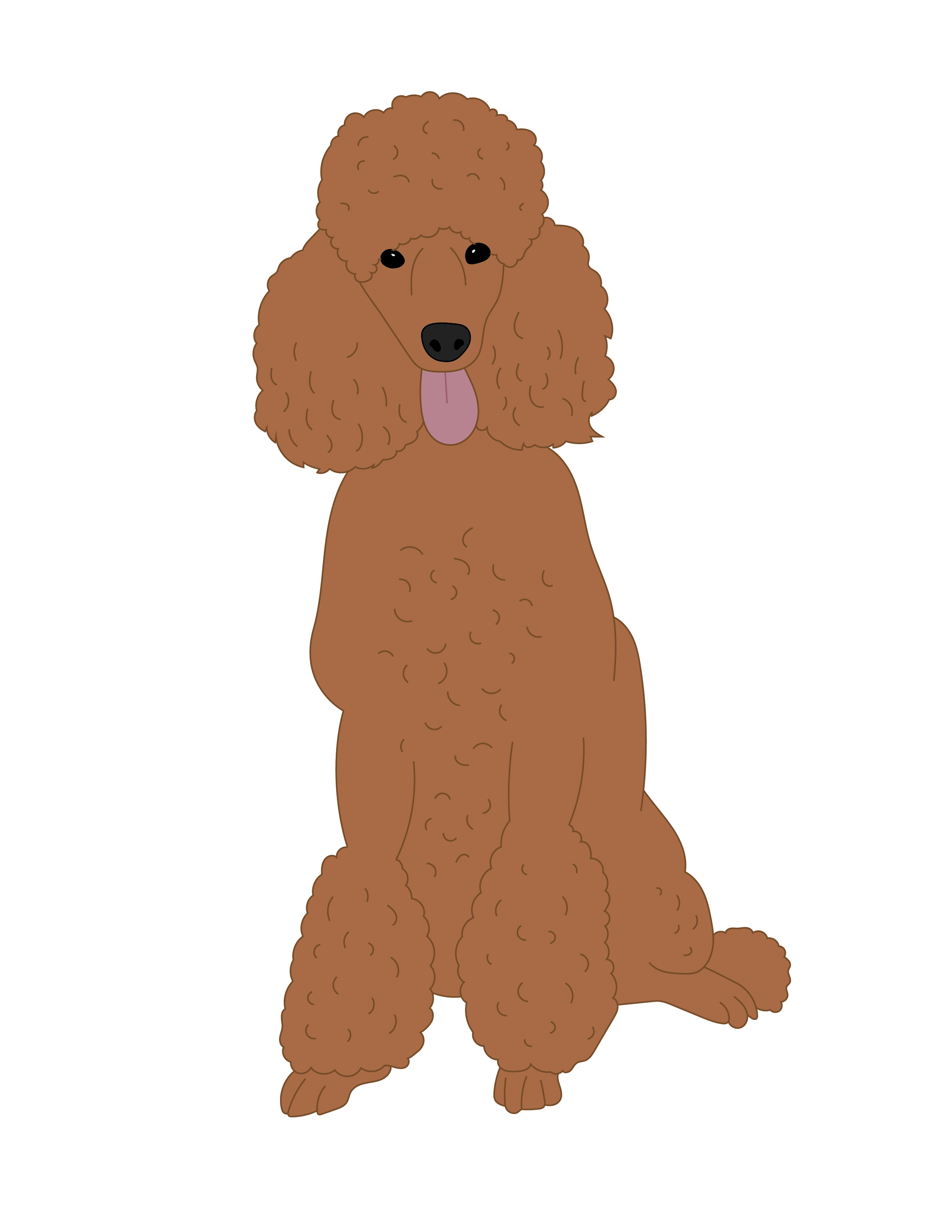 Poodle Illustration.png