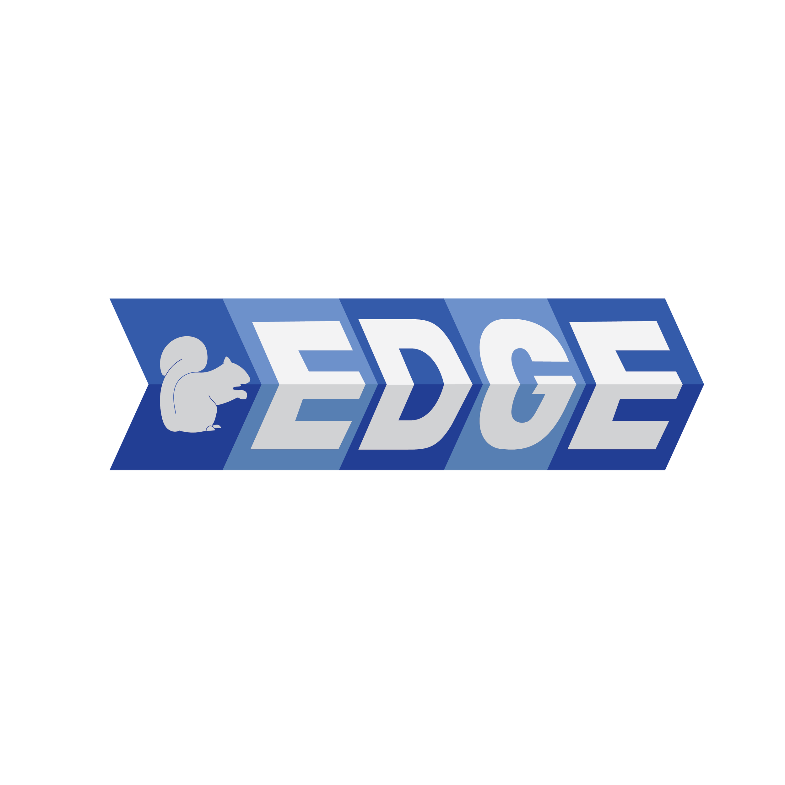 EDGE Logos-03.png