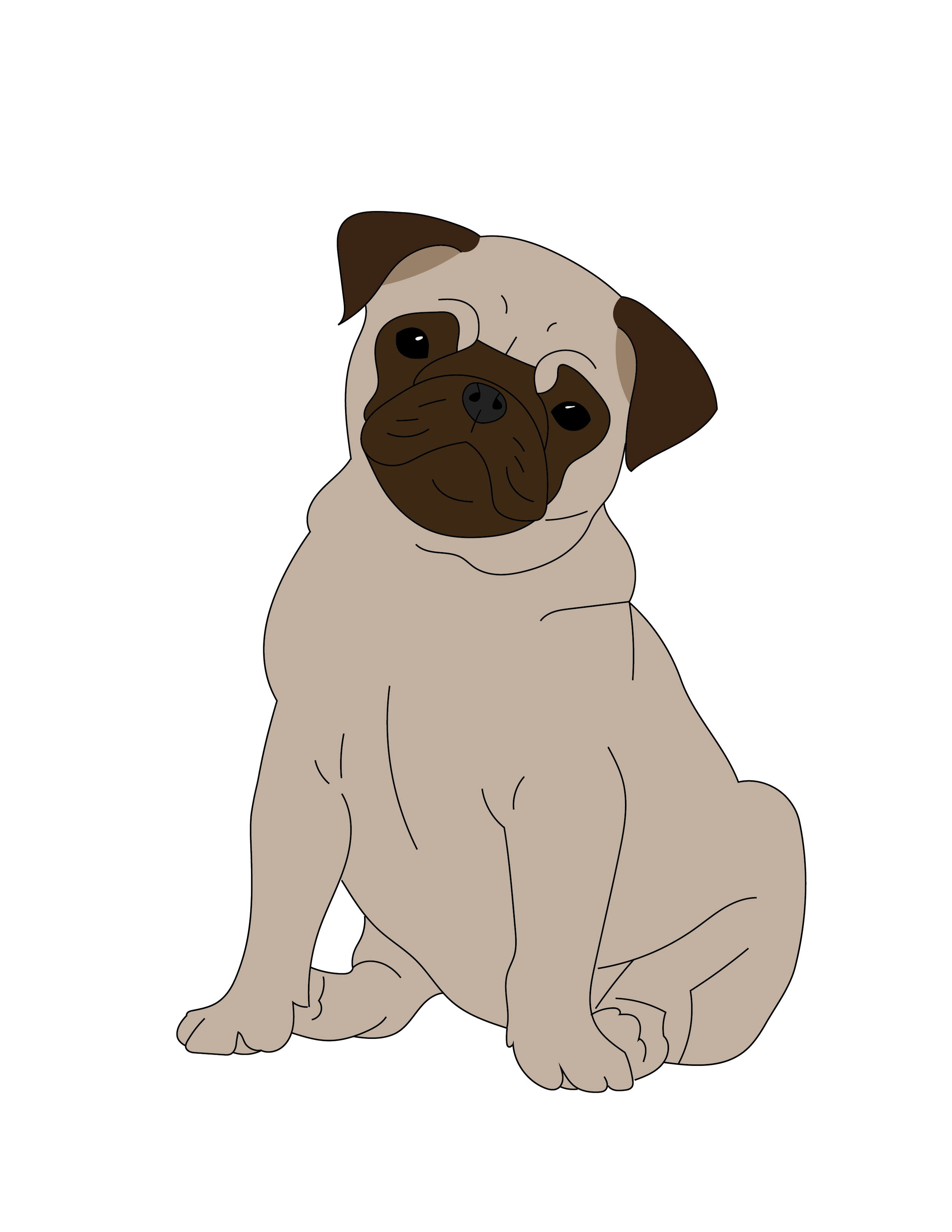 Pug Illustration.png