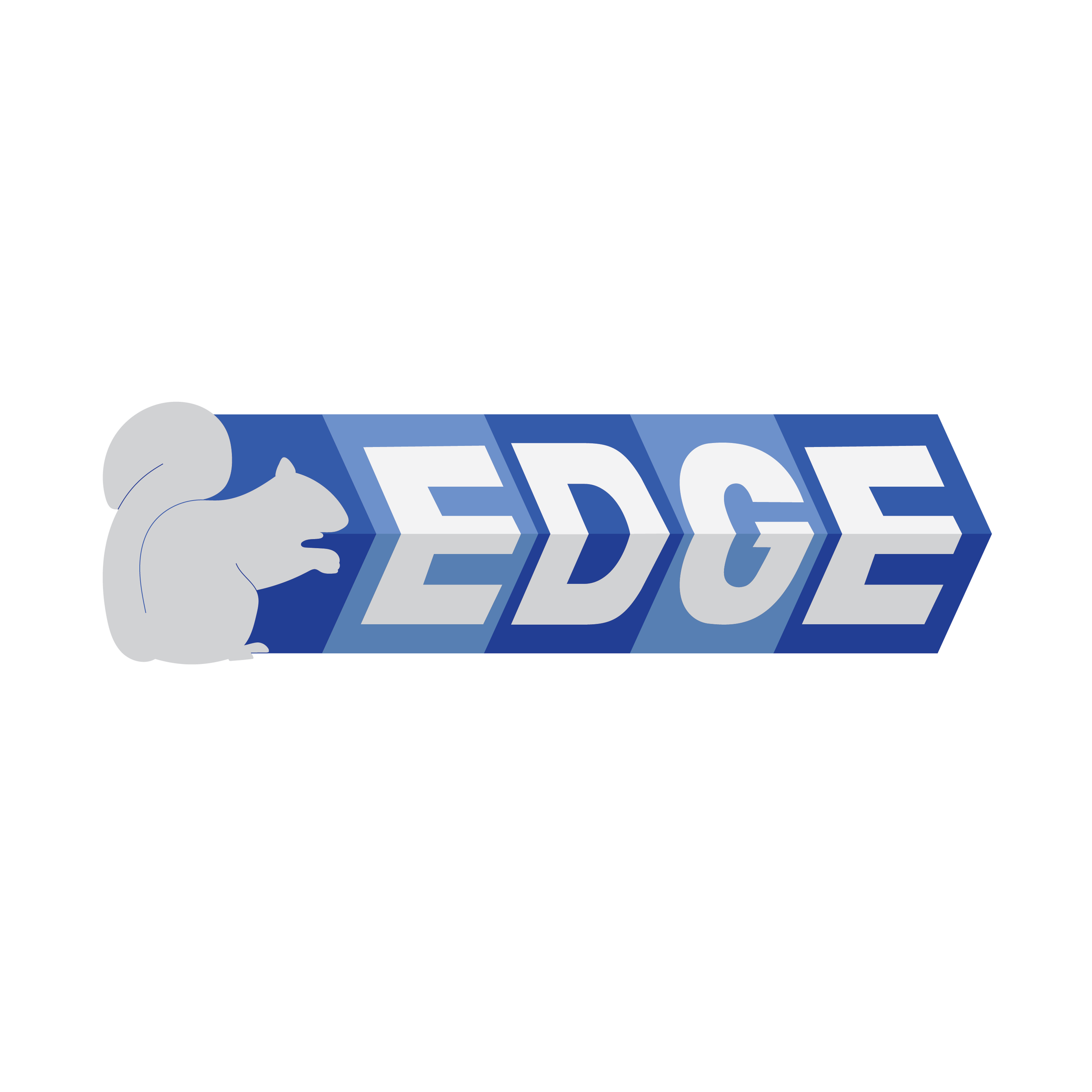 EDGE Logos-04.png