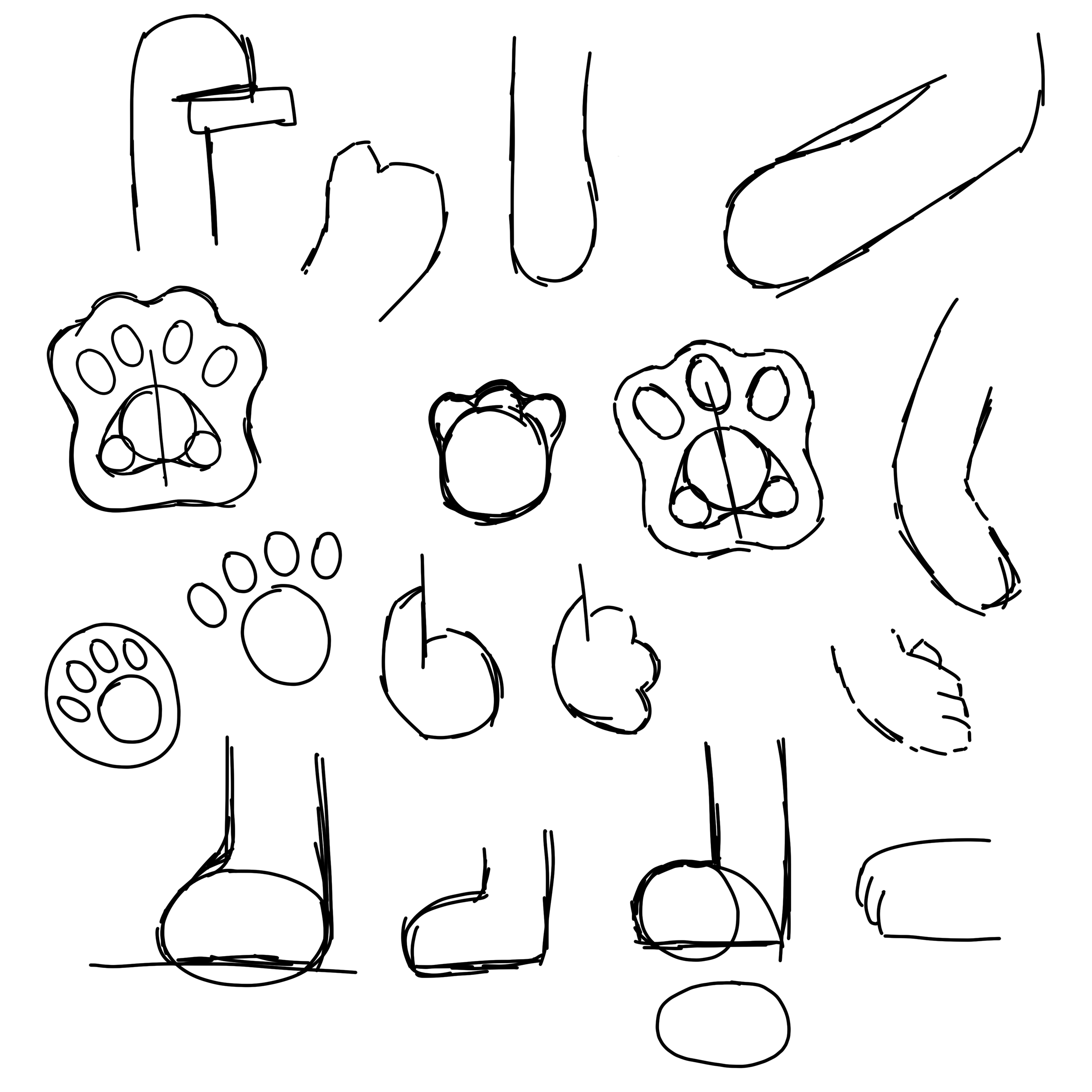 Paw Shapes