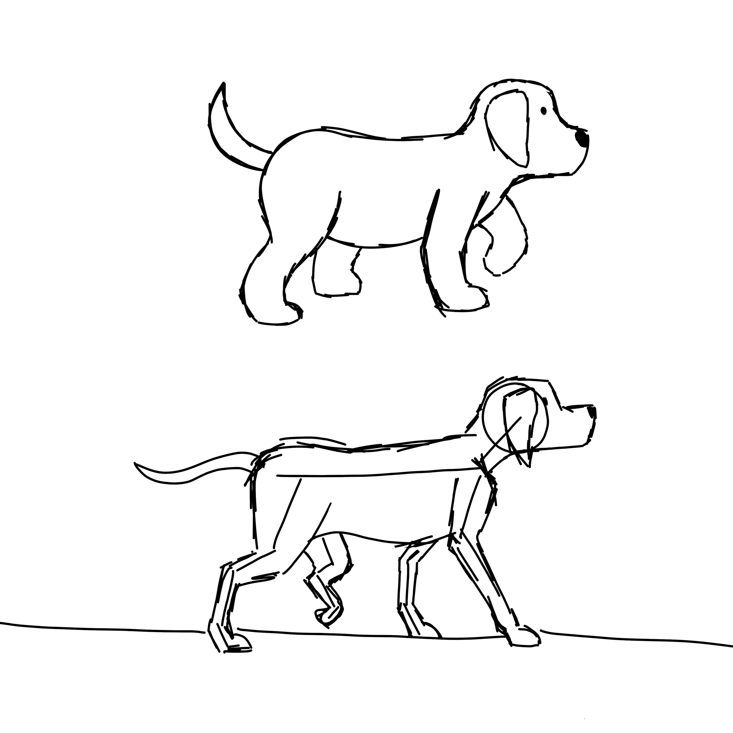 Cartoonized Dog