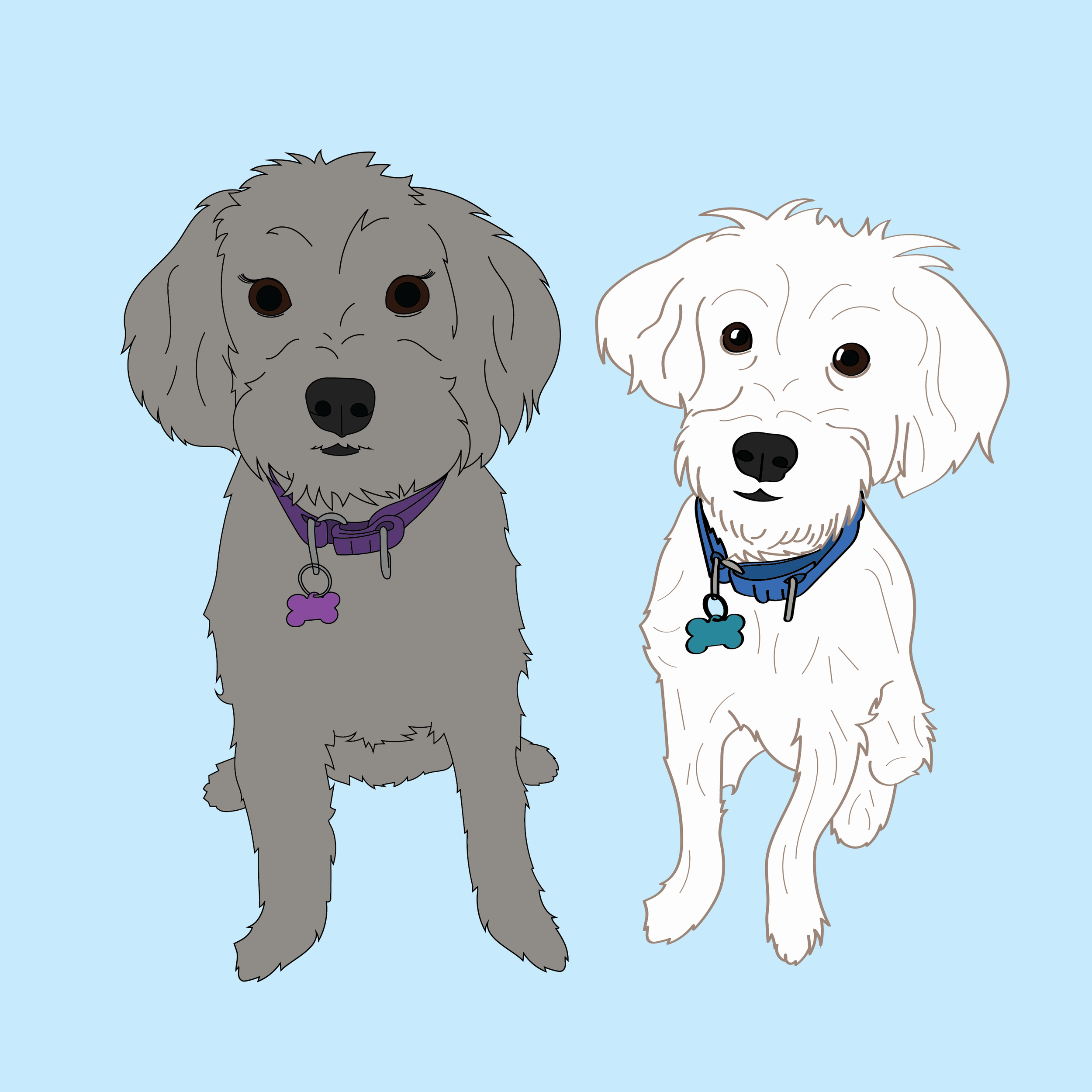 Dog Illustrations