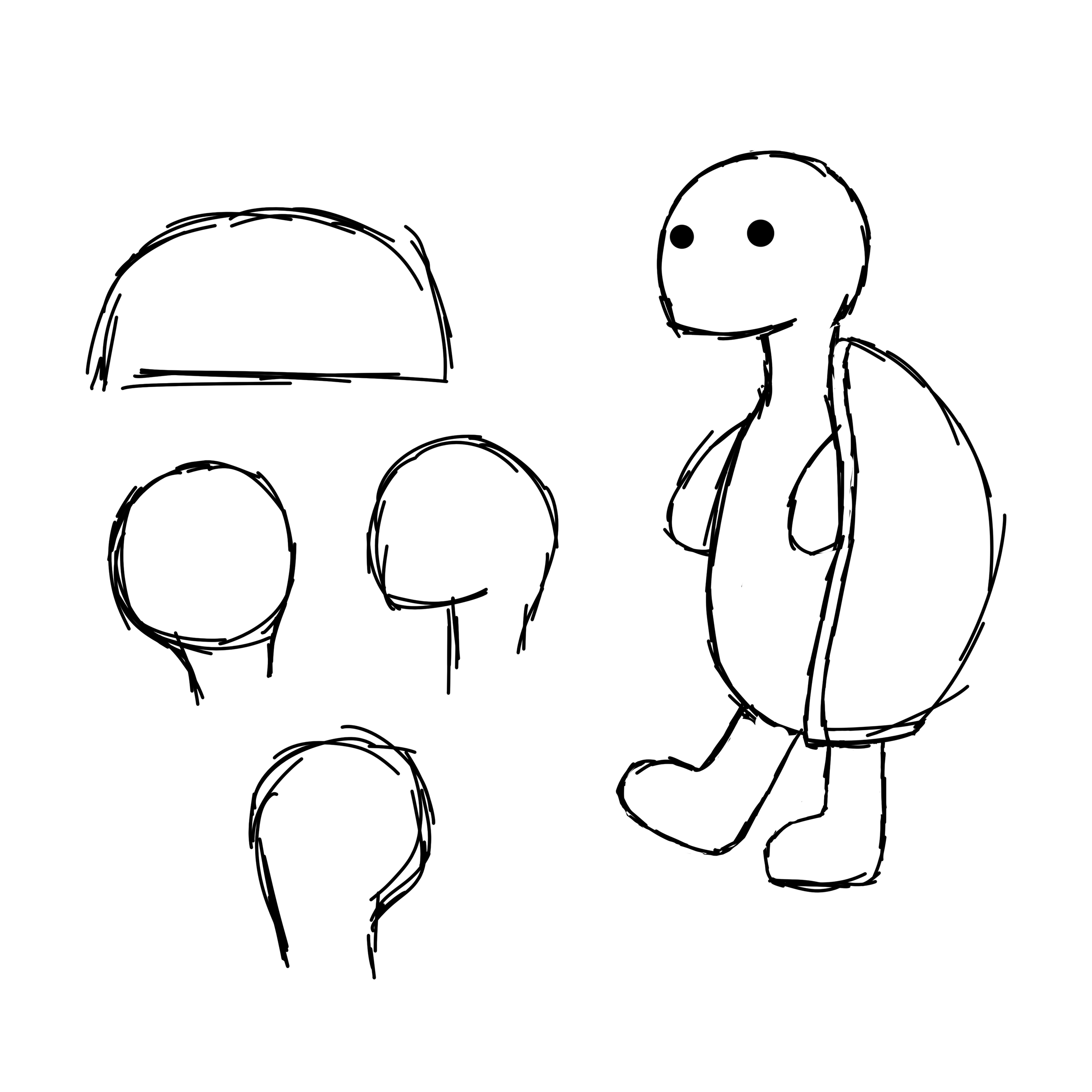 Turtle Development