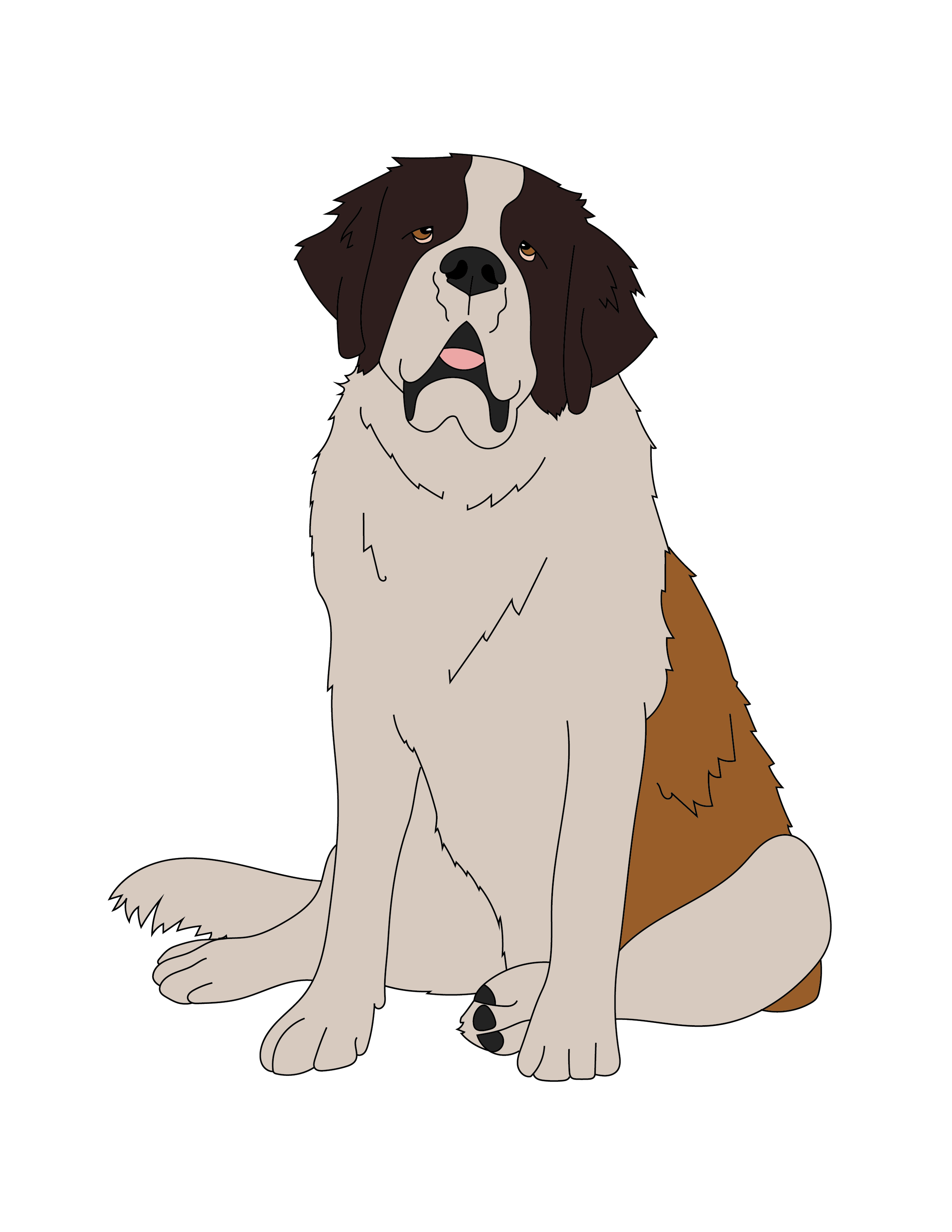 St Bernard Illustration.png