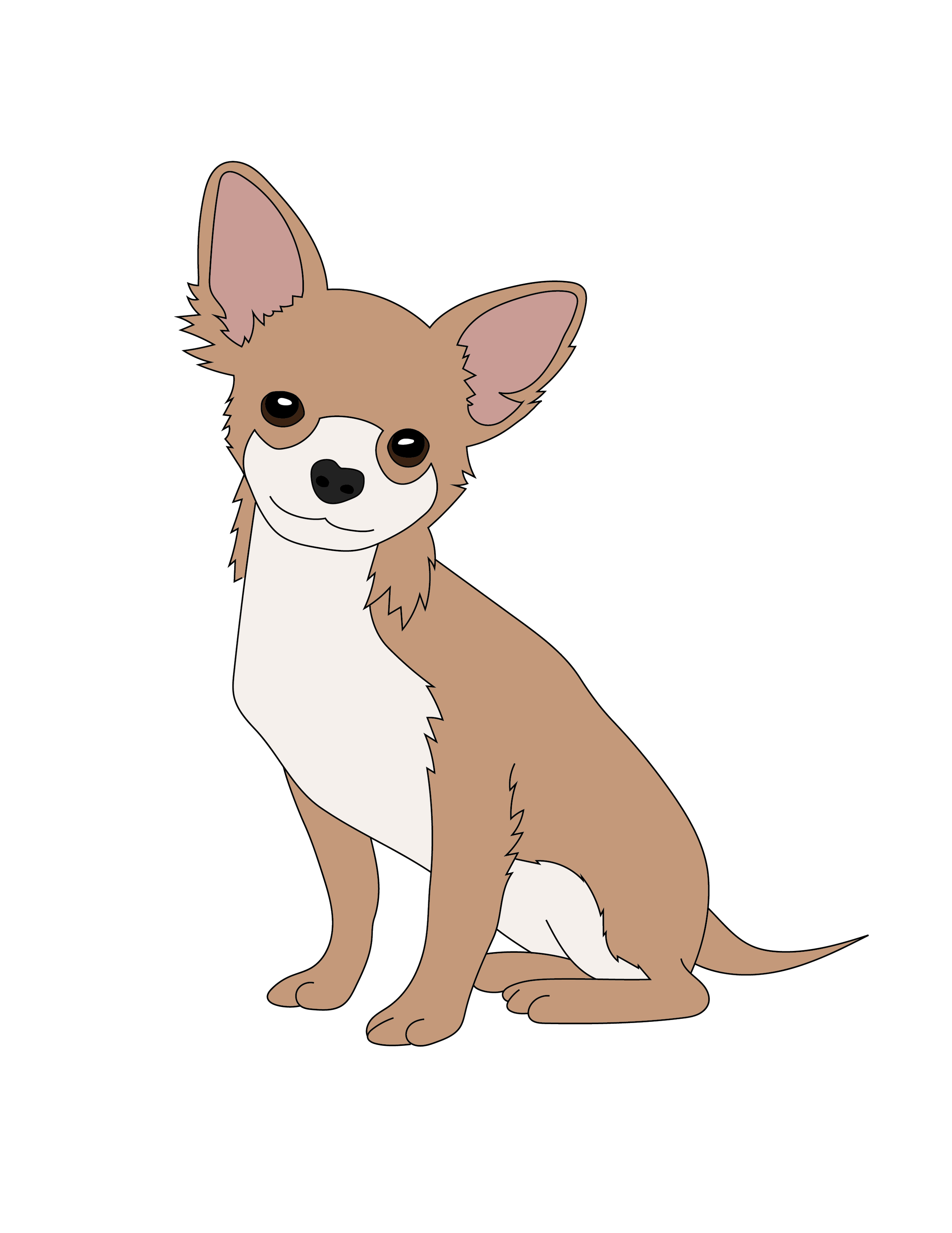 Chihuahua Illustration.png