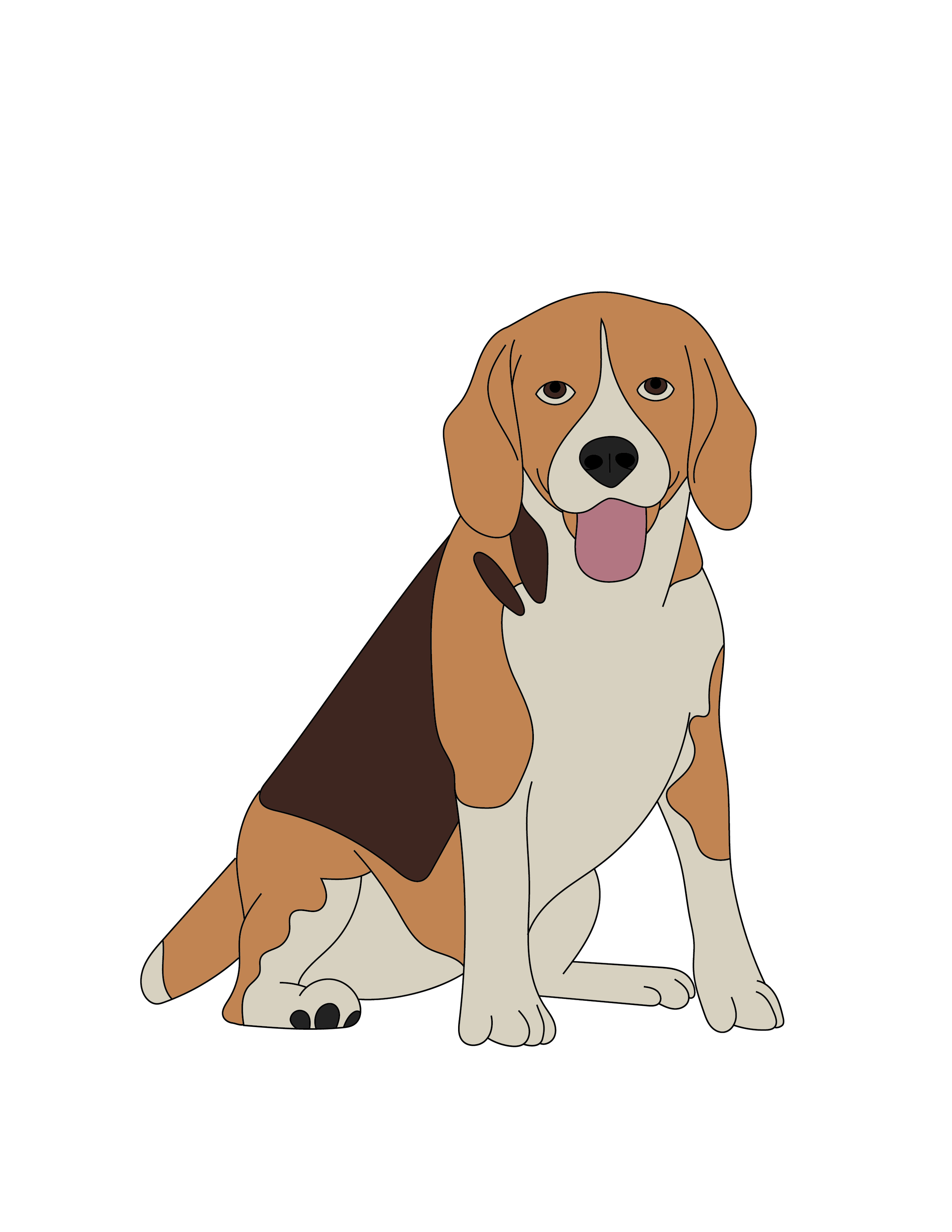Beagle Illustration.png