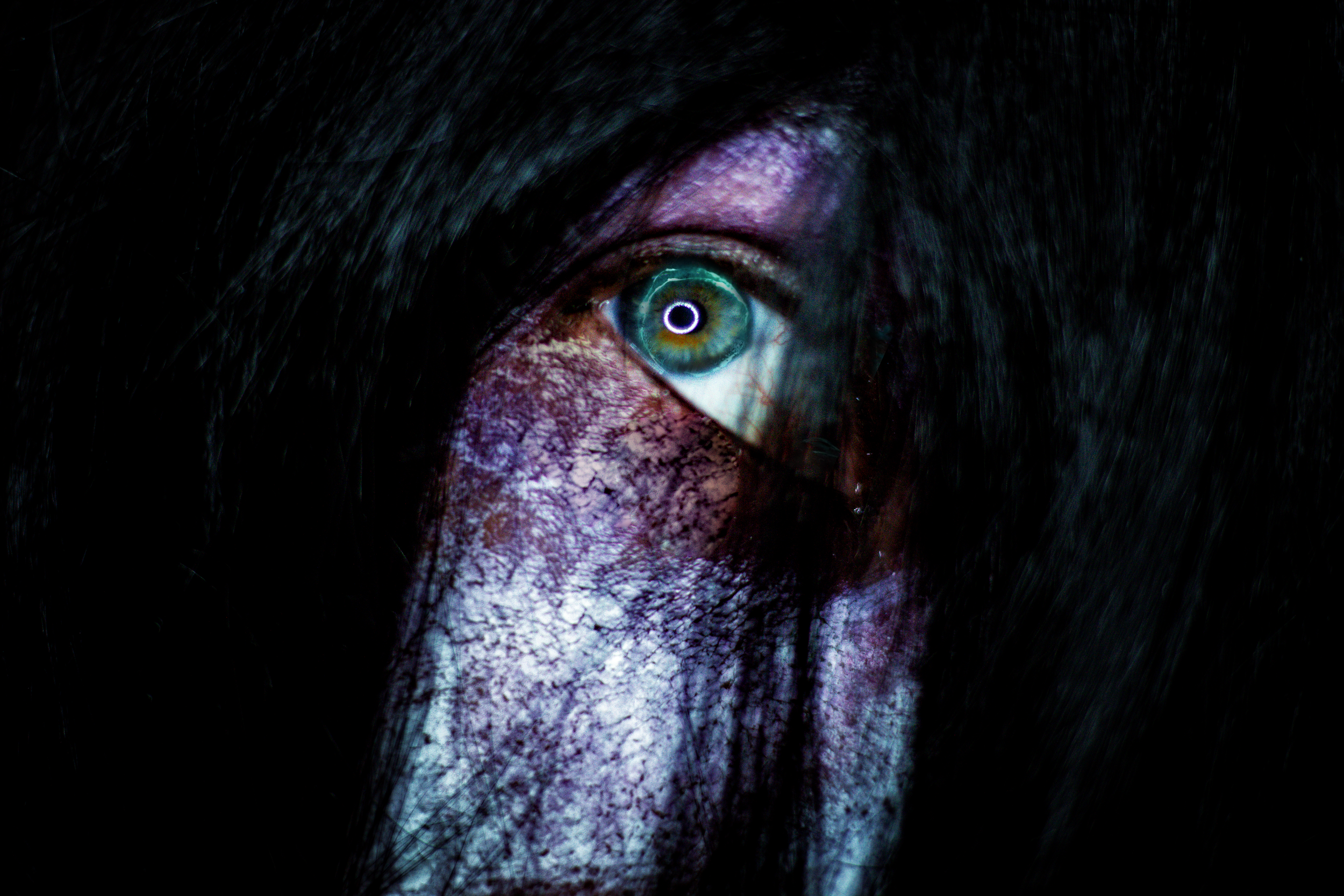Zobie Fright