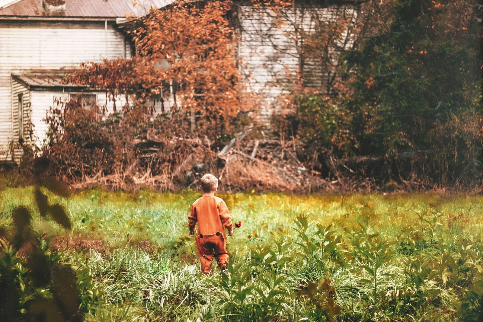 A young child in an orange outfit walking through a green field with a butterfly nearby, with an old, weathered house and trees with fall foliage in the background.