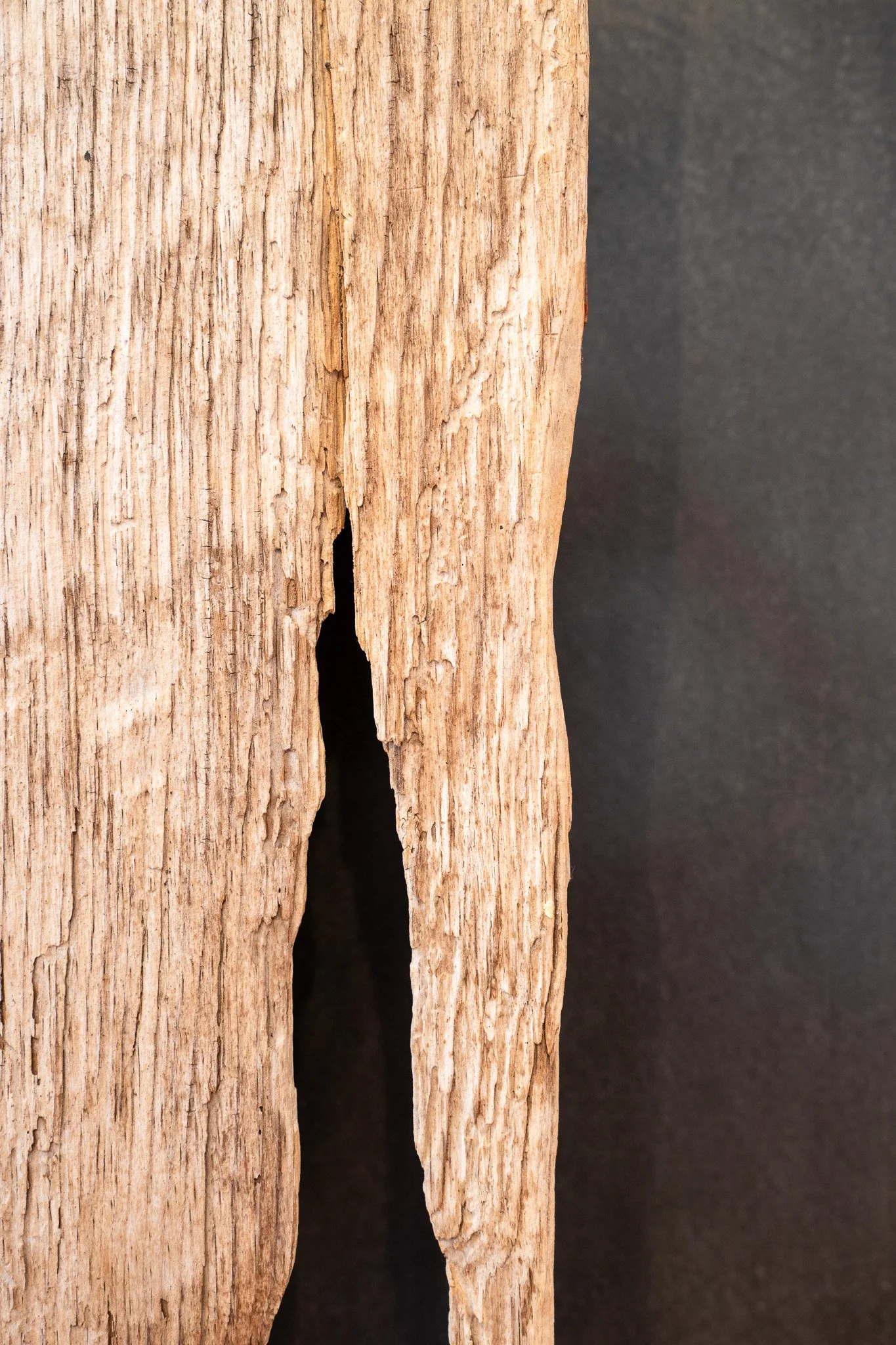 Alberta (detail), Cameron Anderson, 2023. Photo courtesy of Kati Q. Gaschler