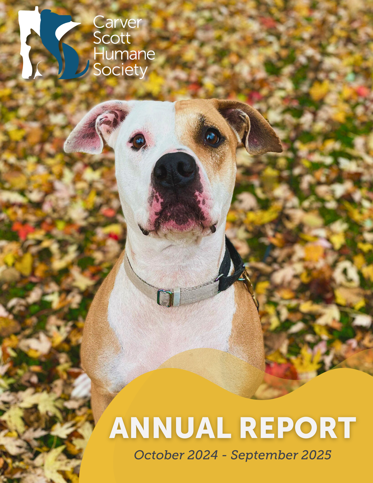 Cover of Carver Scott Humane Society annual report featuring a dog with a tan and white coat against a background of autumn leaves.