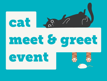 Cat meet &amp; greet event
