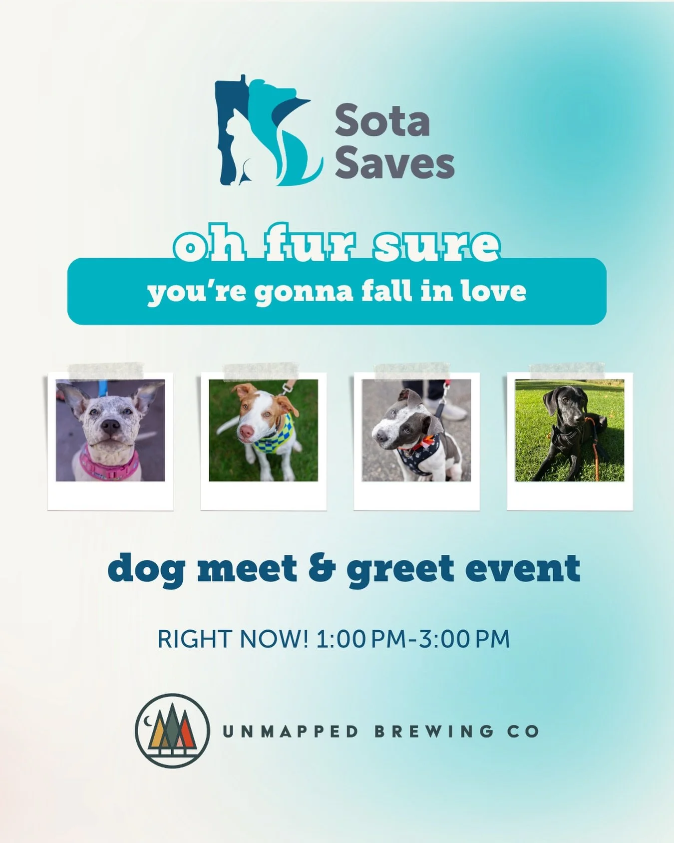 Dog Meet &amp; Greet Event happening NOW!

Oh you are fur sure going to fall in love with these pups ✨

🗓️ Today, Oct 10 | 1:00 PM &ndash; 3:00 PM 
📍 Unmapped Brewing Co. (14625 Excelsior Blvd, Minnetonka
🐾 5 puppies and dogs looking for their for