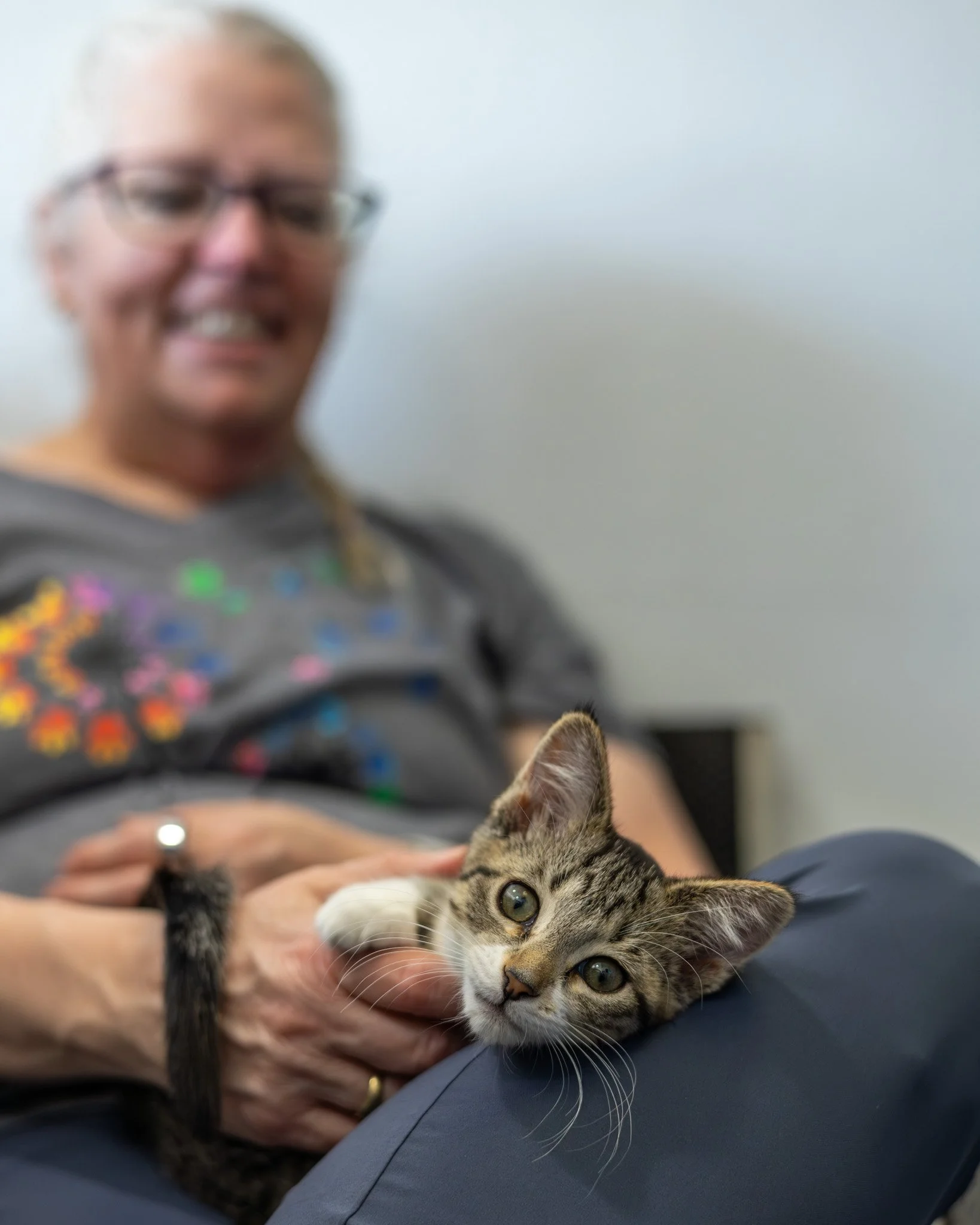 A woman with glasses and gray hair holding a tabby kitten with green eyes and a striped coat, sitting on her lap.