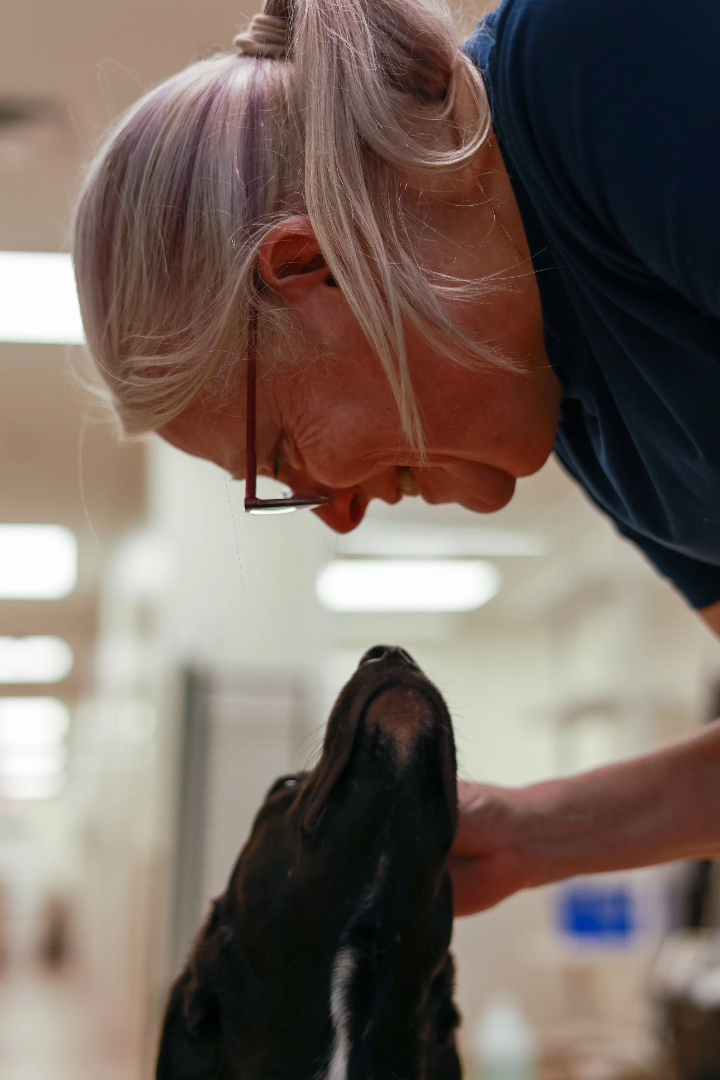 A person with blond hair and glasses leaning over a dog, in a room with soft lighting.