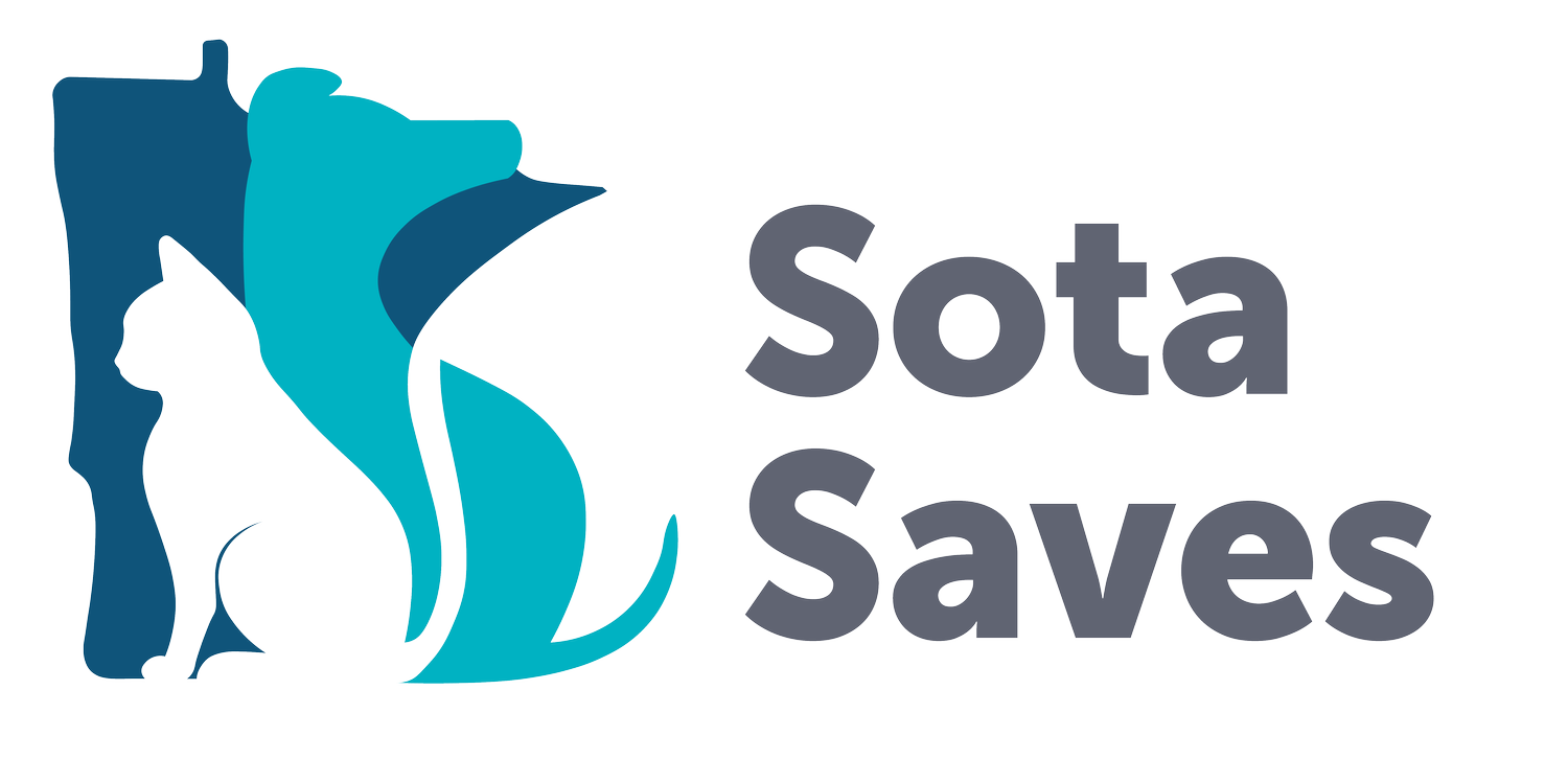 Sota Saves