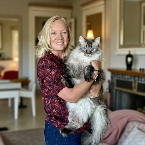 A woman with blonde hair holding a large, fluffy gray and white cat in a living room.