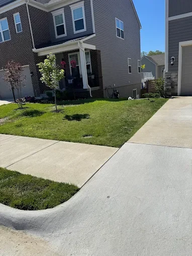 Front yard with a small lawn, a couple of trees, and a sidewalk next to a modern house with gray siding. A driveway is visible on the right.